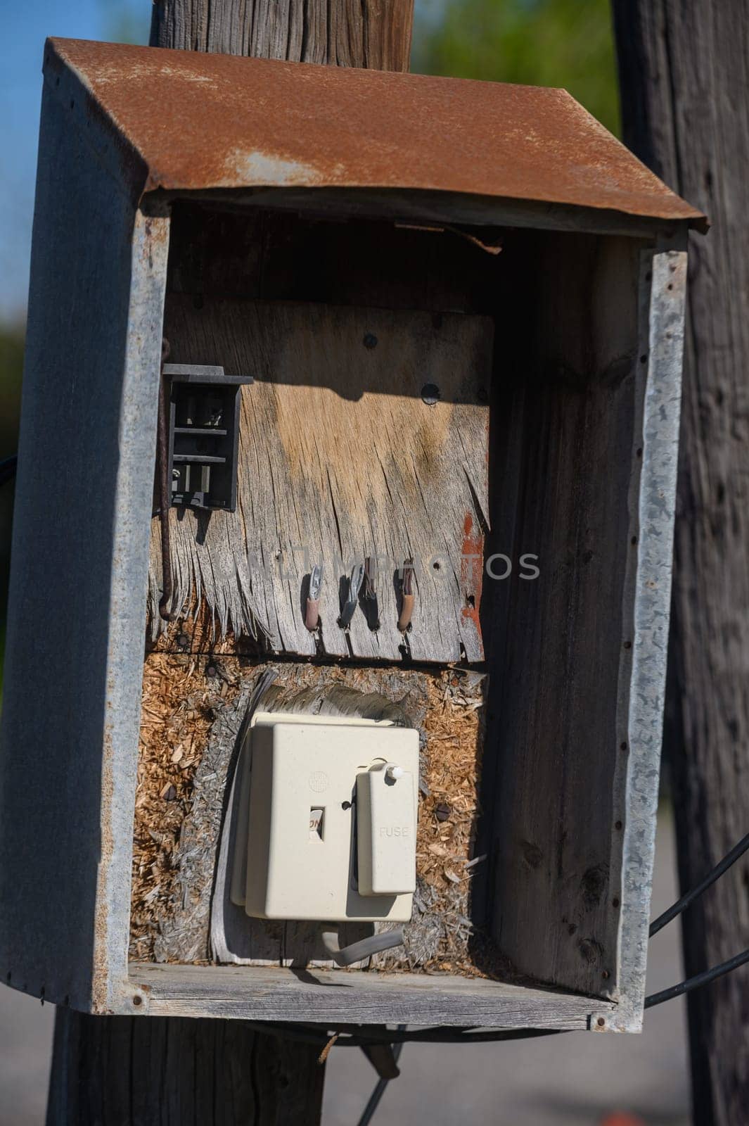 A weathered utility box, partially covered in natural elements, stands against a wooden pole. The soft golden light of late afternoon accentuates its aged textures and the play of light and shadow.