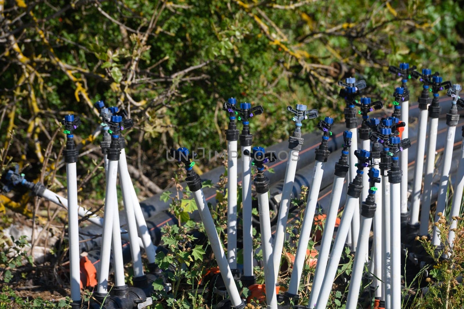 Sprinklers are arranged on the ground among vibrant greenery, ready to nourish plants under the warm rays of spring. The setting showcases the beauty of nature and gardening.