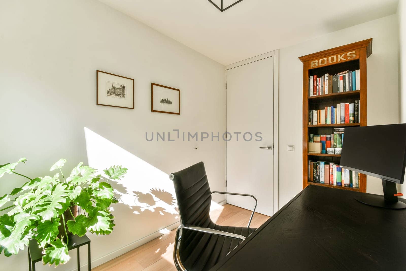 A bright and inviting home office featuring a sleek chair, a potted plant, and a well-organized bookshelf, with warm natural lighting enhancing the atmosphere.