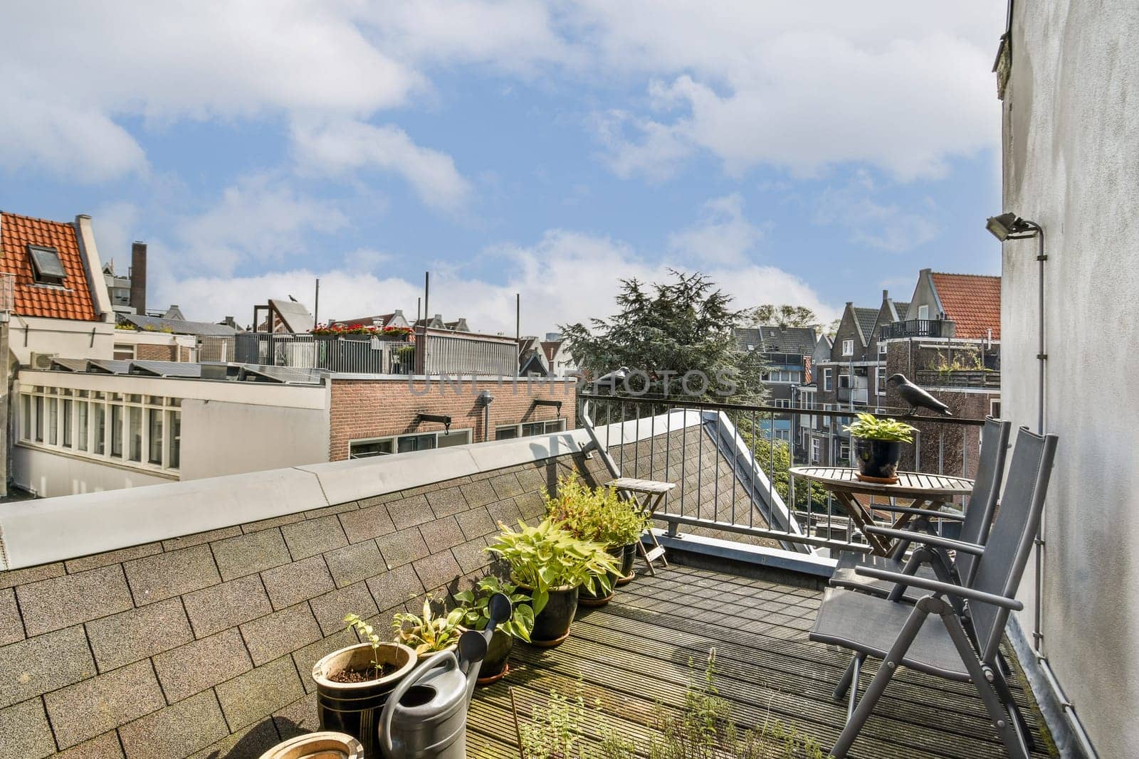 A picturesque rooftop scene featuring comfortable seating, potted plants, and a beautiful sky. Modern architecture and urban ambiance complete this inviting space.