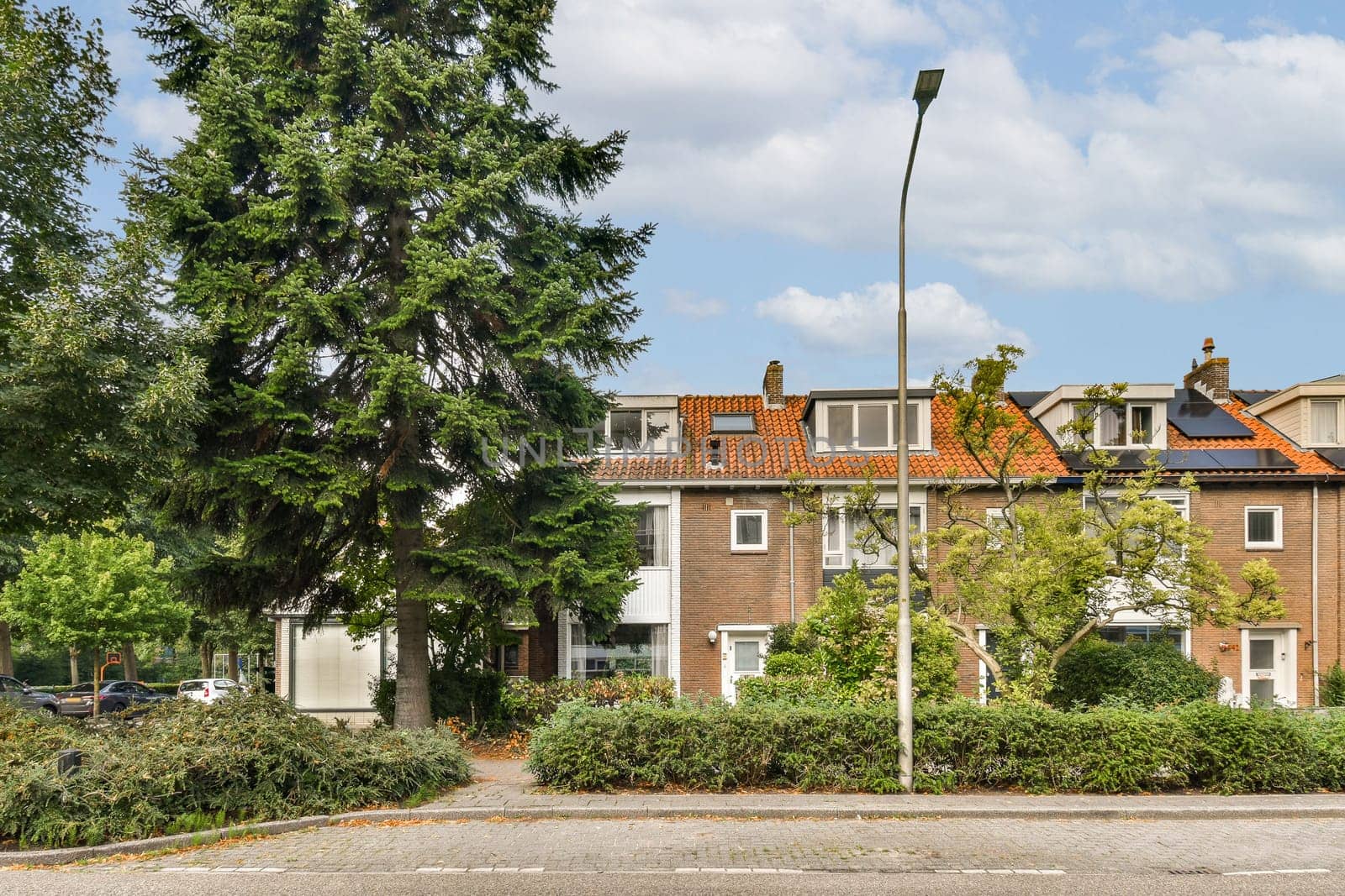 A picturesque urban residential area featuring a mix of charming homes and vibrant greenery, perfect for capturing the essence of suburban life.