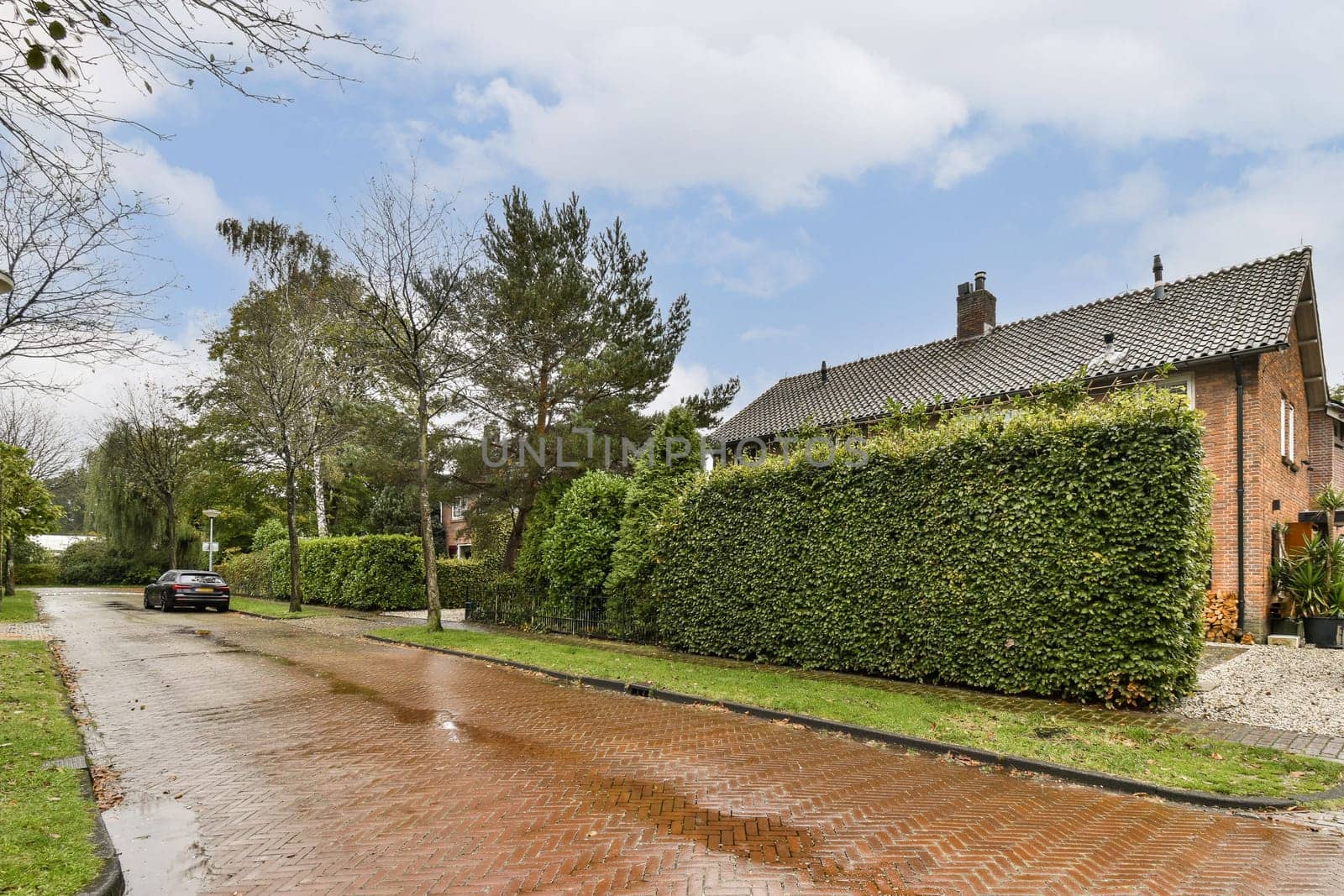 A picturesque pathway winding through a vibrant garden with manicured hedges and colorful flowers, inviting peaceful strolls.