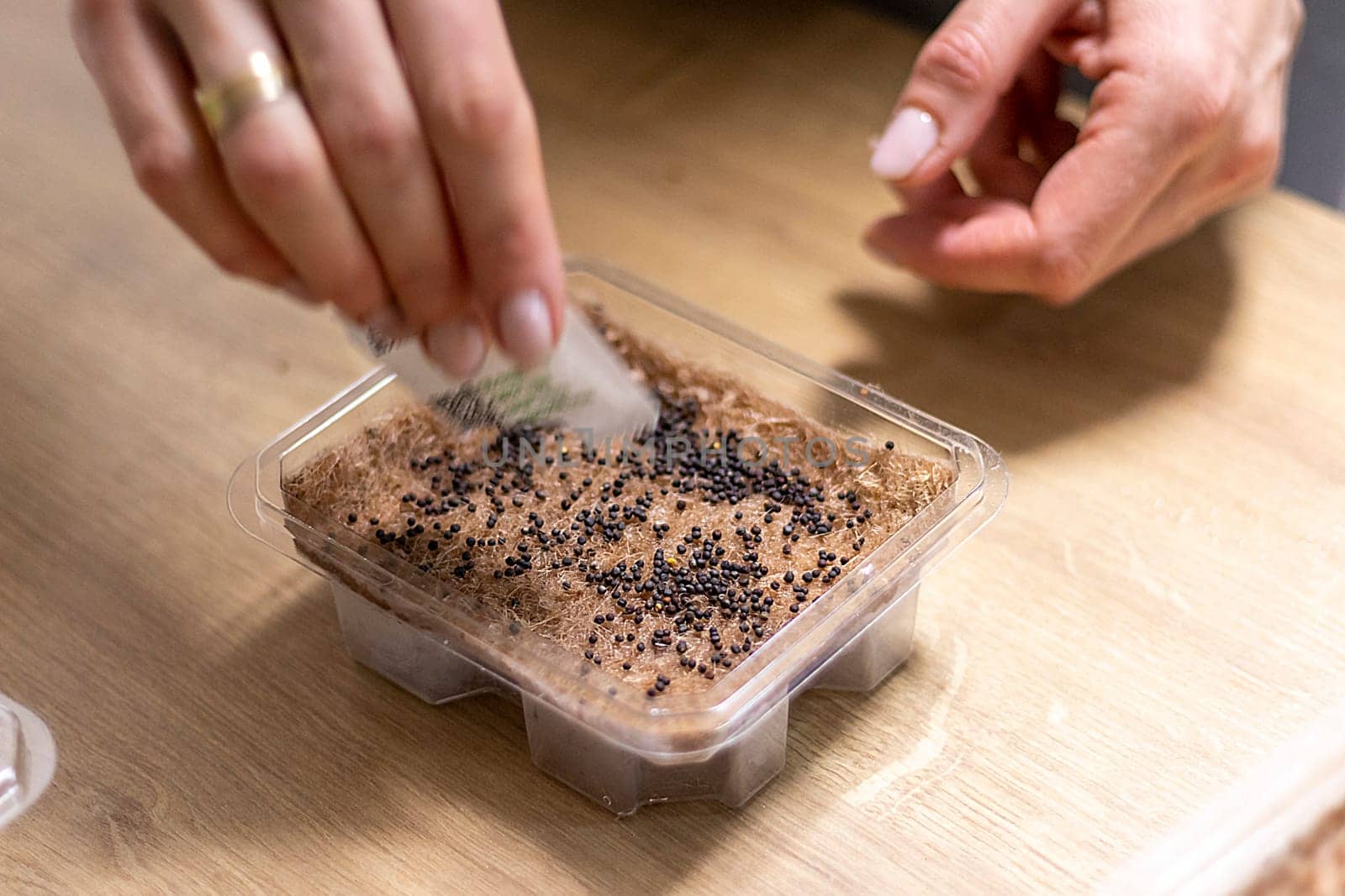 Person plants seeds of micro greens to the jute mat.