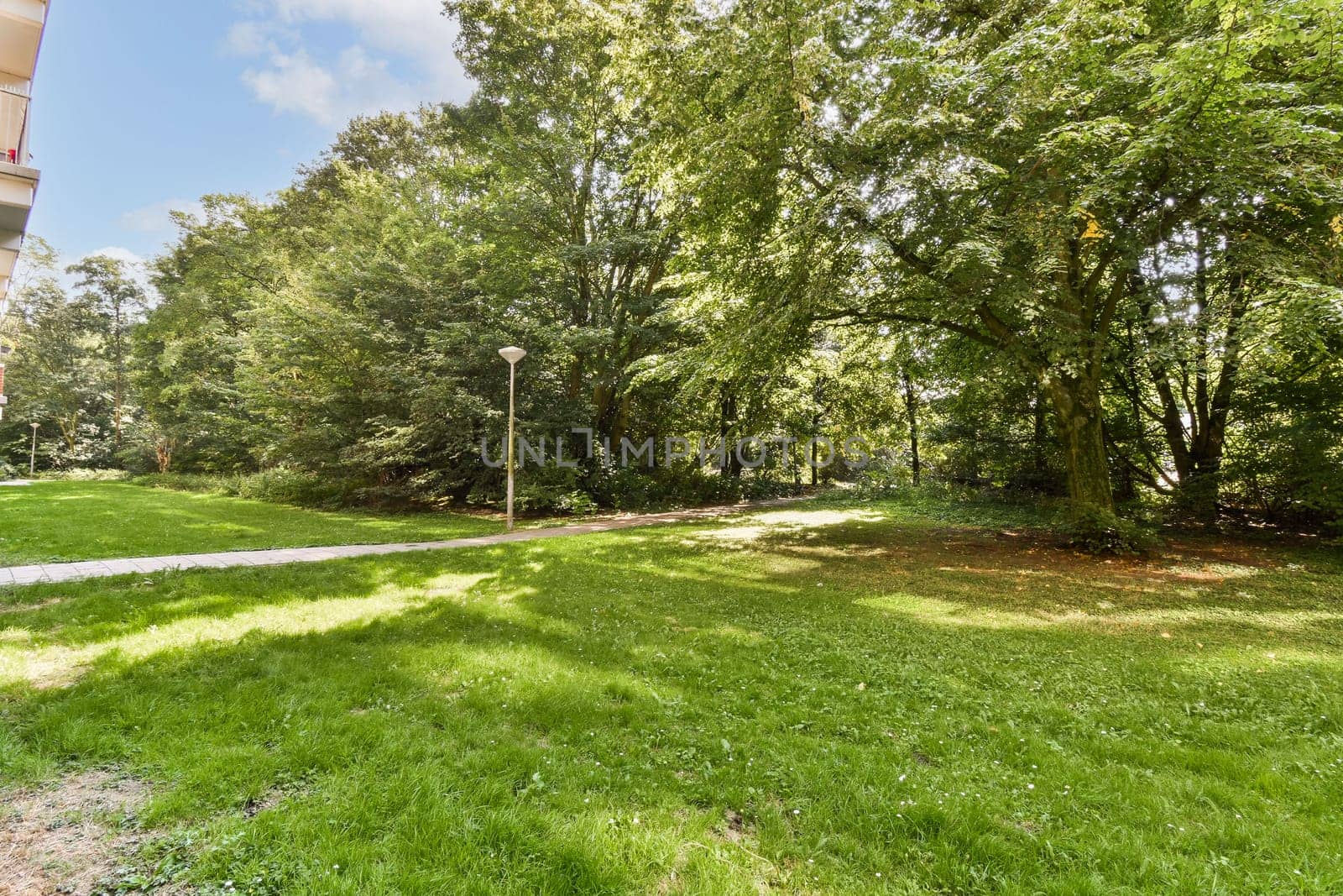 A serene park scene showcasing a well-maintained grassy area surrounded by dense trees and a clear blue sky. Perfect for relaxation and nature walks.