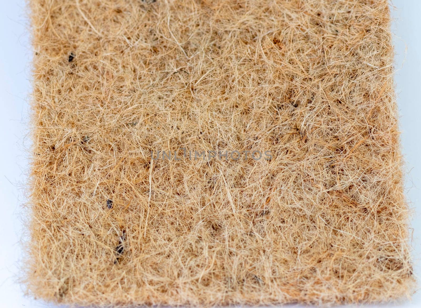Close up shot of the jute mat surface used for growing micro greens