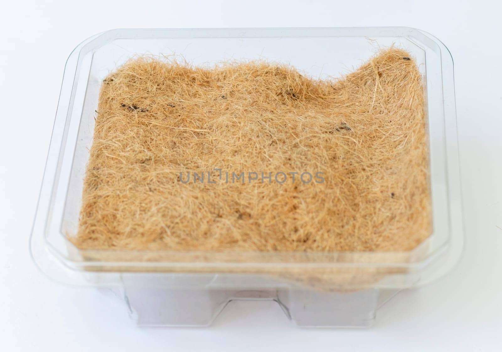 Plastic container used mainly to grow micro greens with jute mat in it