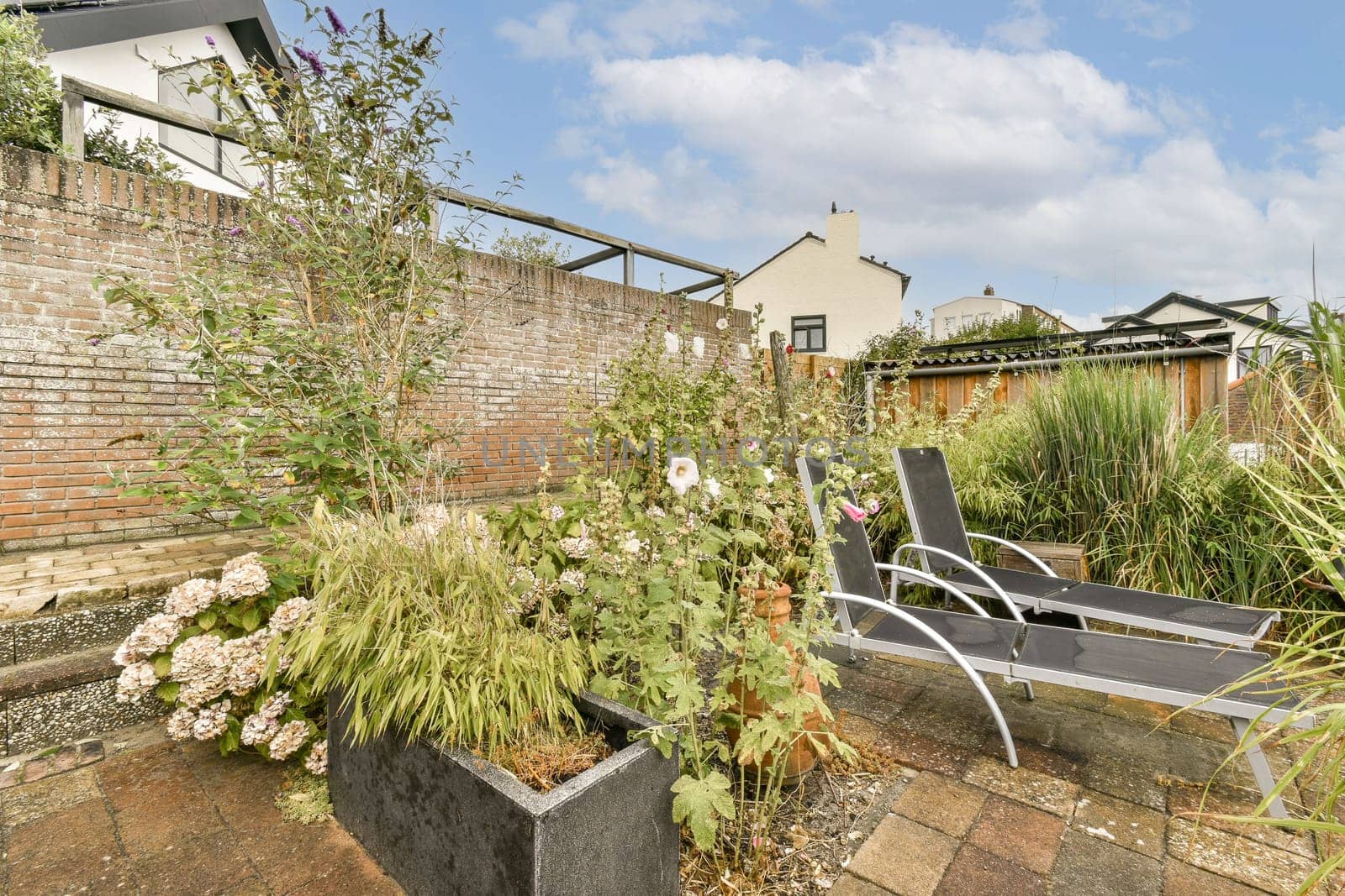 A beautifully arranged garden showcasing vibrant plants and flowers with stylish modern seating, perfect for relaxation and outdoor living.