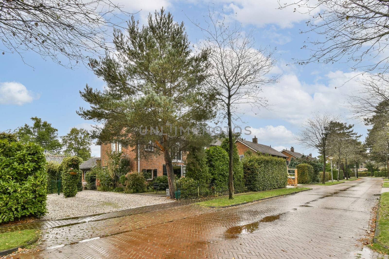 A picturesque view of a serene residential street lined with trees and houses under a clear blue sky, showcasing natural surroundings and peaceful living.