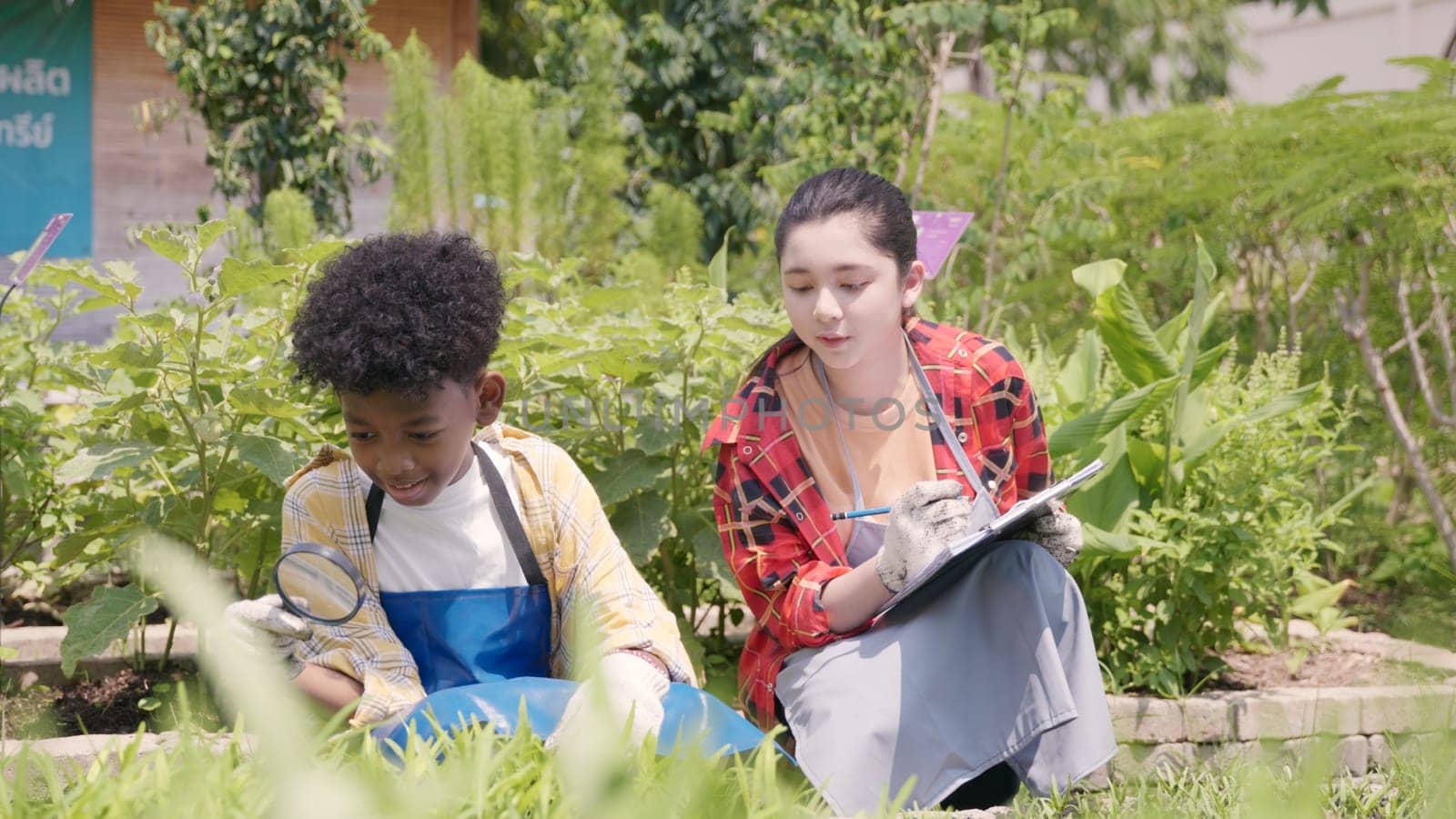 Happy children farmer hands holding magnifying glass and looking at vegetables in hydroponics farm, Biotechnology kid examining plant leaf, agriculture school learning research for science concept