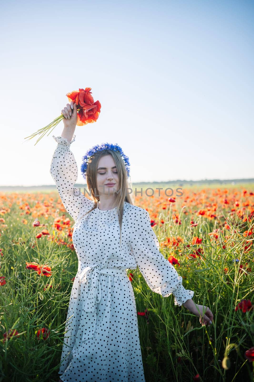 Woman wearing white dress and blue flowers crown holding poppy bouquet in a poppy field during a sunny summer day