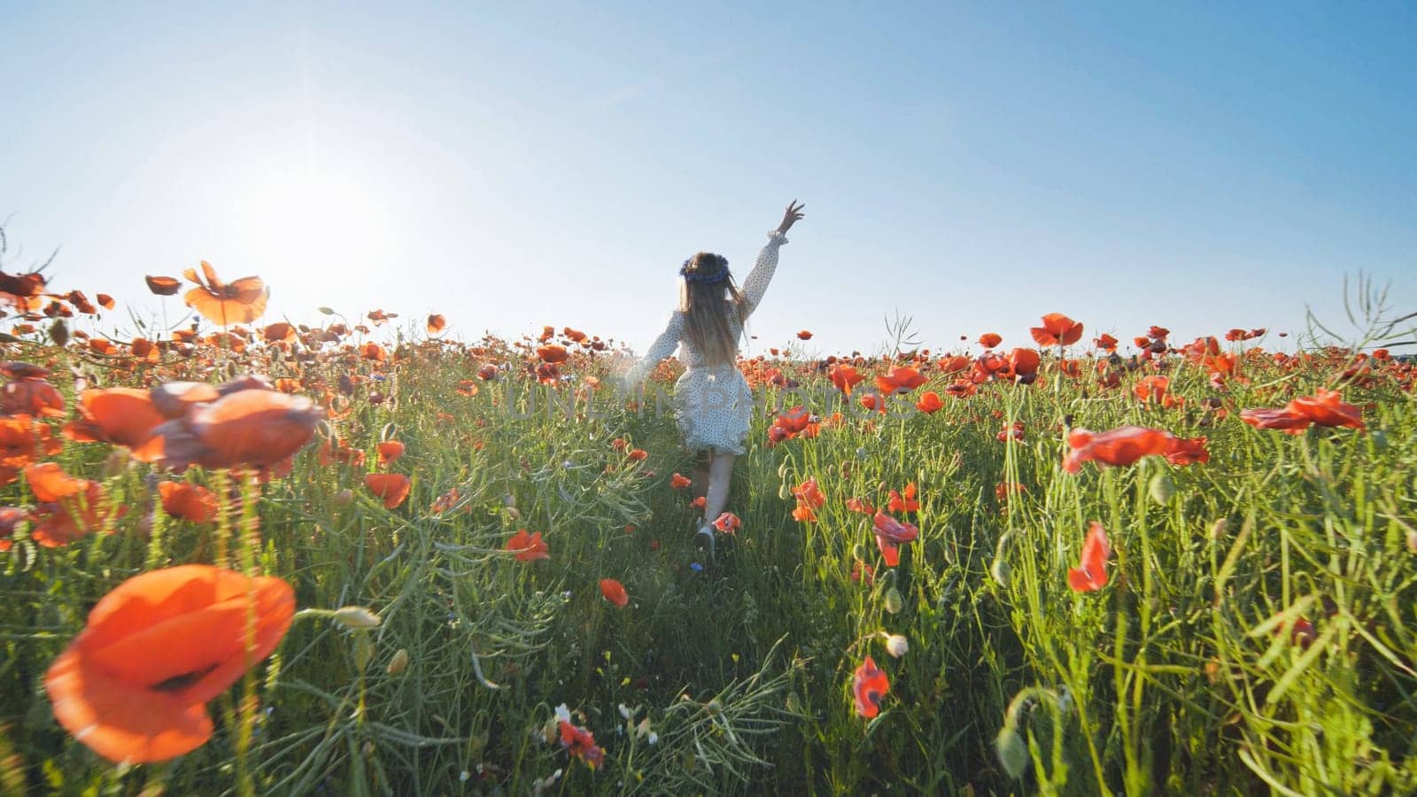 Carefree young woman enjoying freedom in beautiful poppy field at sunset, embracing nature with open arms