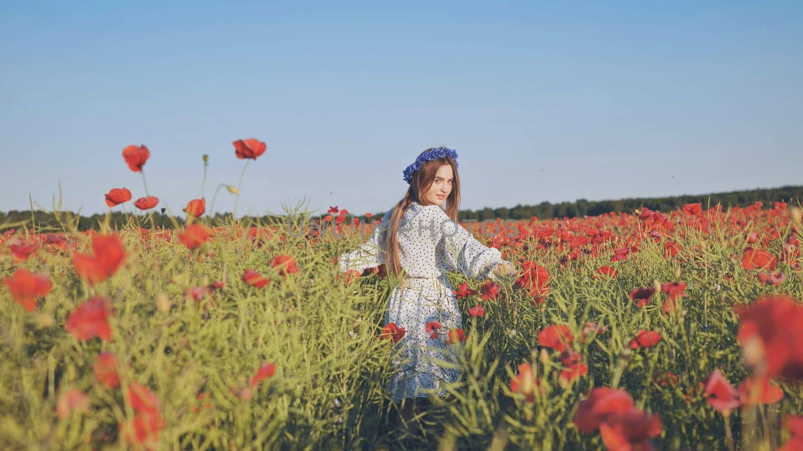 Beautiful young woman with long hair wearing a flower wreath walking in a poppy field on a sunny summer day