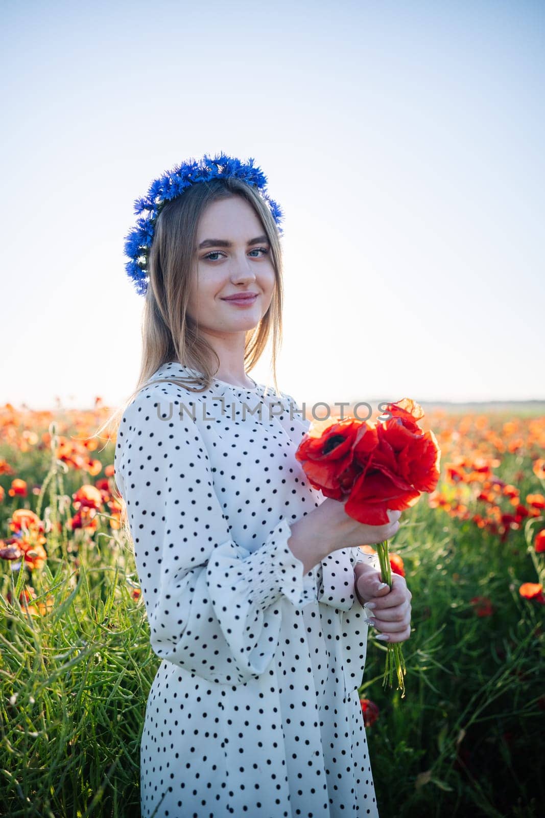 Beautiful woman wearing a cornflower wreath, holding a vibrant bouquet of red poppies while standing in a blooming poppy field