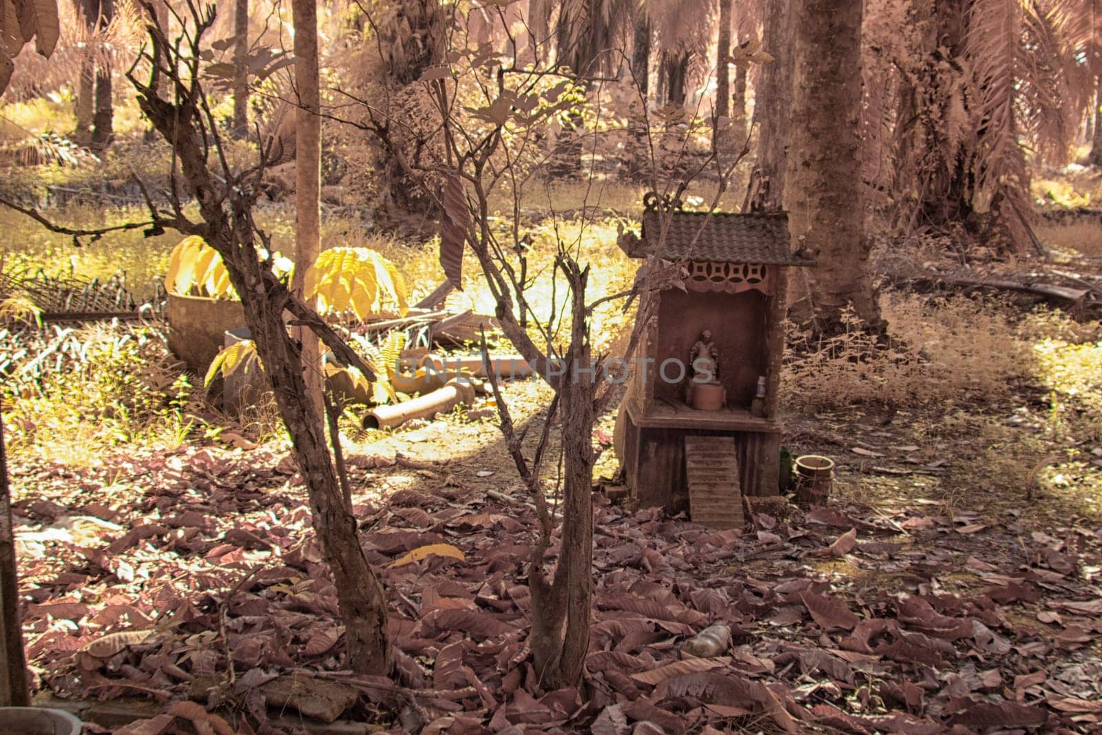 infrared image of the wild vegetation environment landscape at the palm oil plantation.