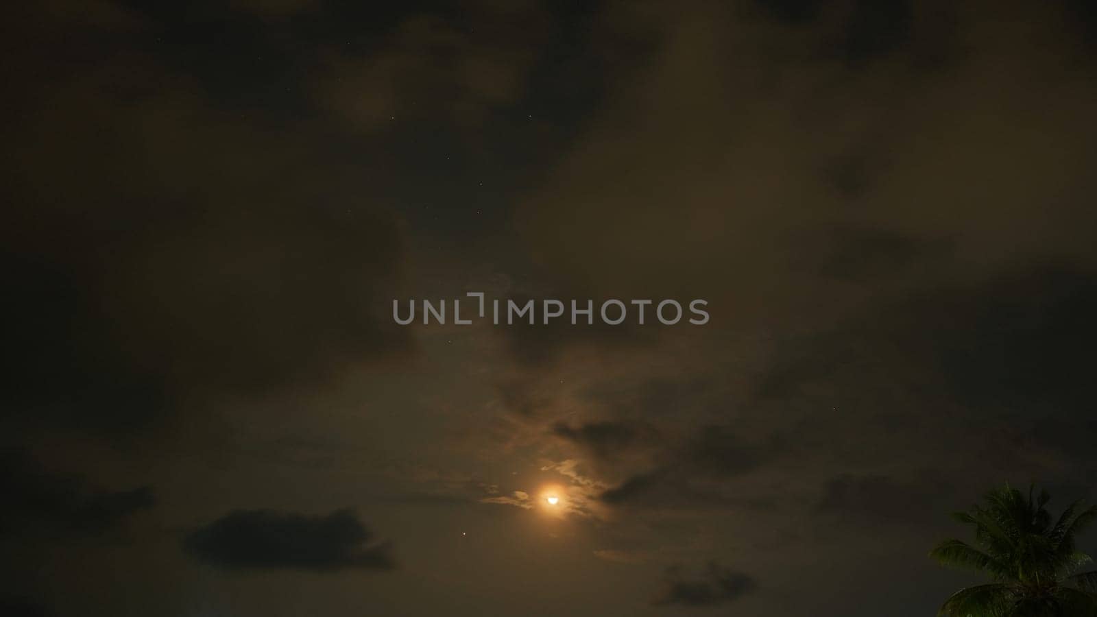 Moonlight shining through dark clouds at night, illuminating visible stars and casting a serene glow on a palm tree in the corner, creating a mystical and atmospheric scene