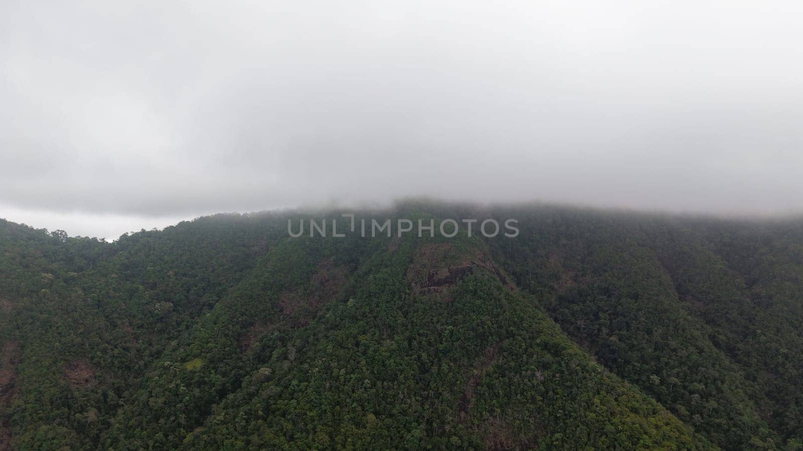 Low clouds enveloping the peaks of a lush green mountain range create a serene atmosphere over the dense tropical rainforest, showcasing the beauty of this untouched wilderness
