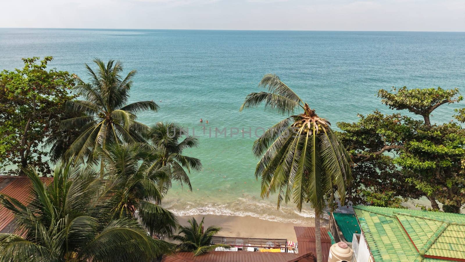 Lush palm trees frame a breathtaking view of a tropical beach with crystal clear turquoise water, inviting tourists to take a refreshing dip in the ocean