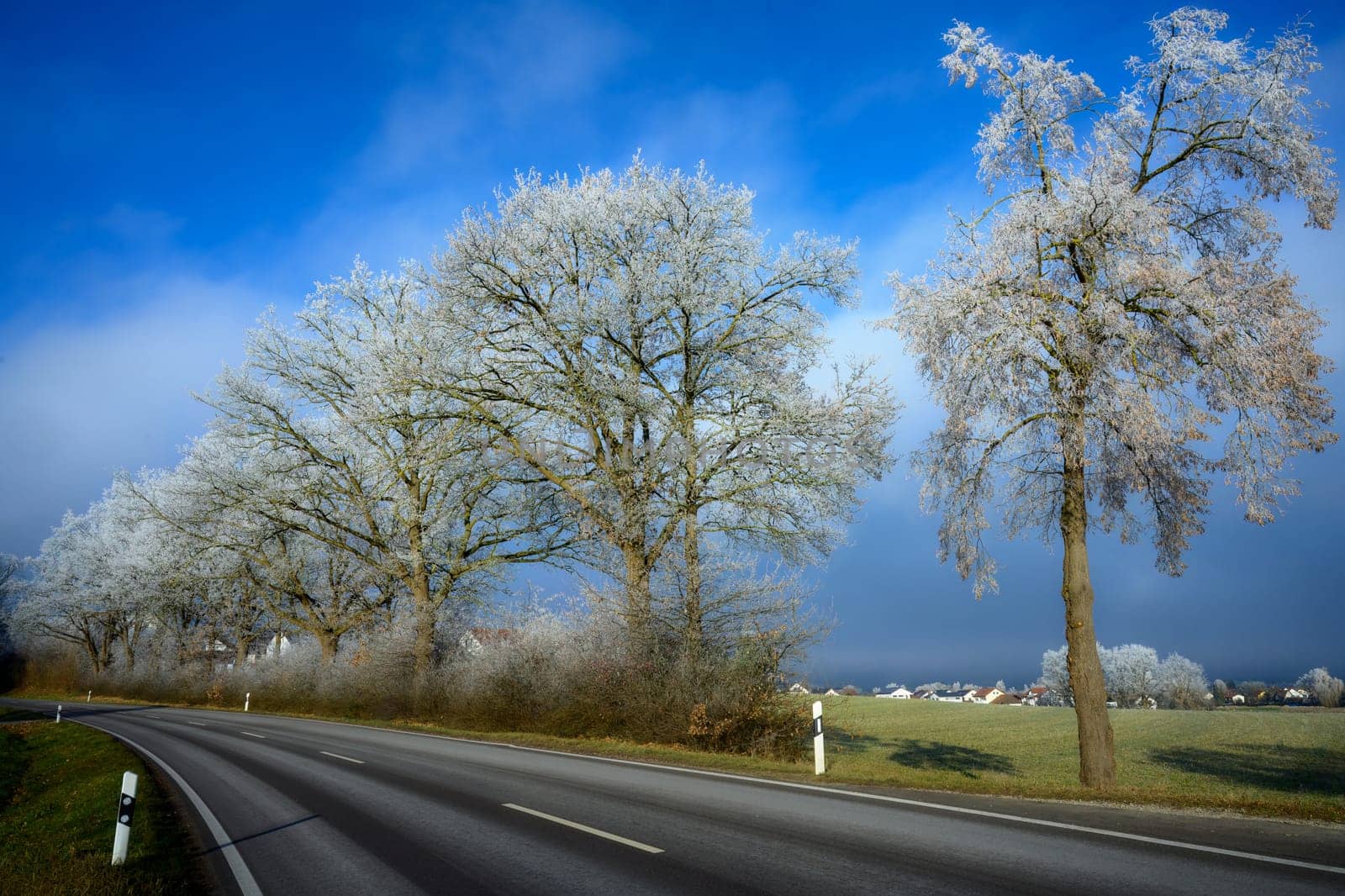 Winter landscape with a country road along trees covered with white frost seen in Schrobenhausen (Bavaria, Germany)