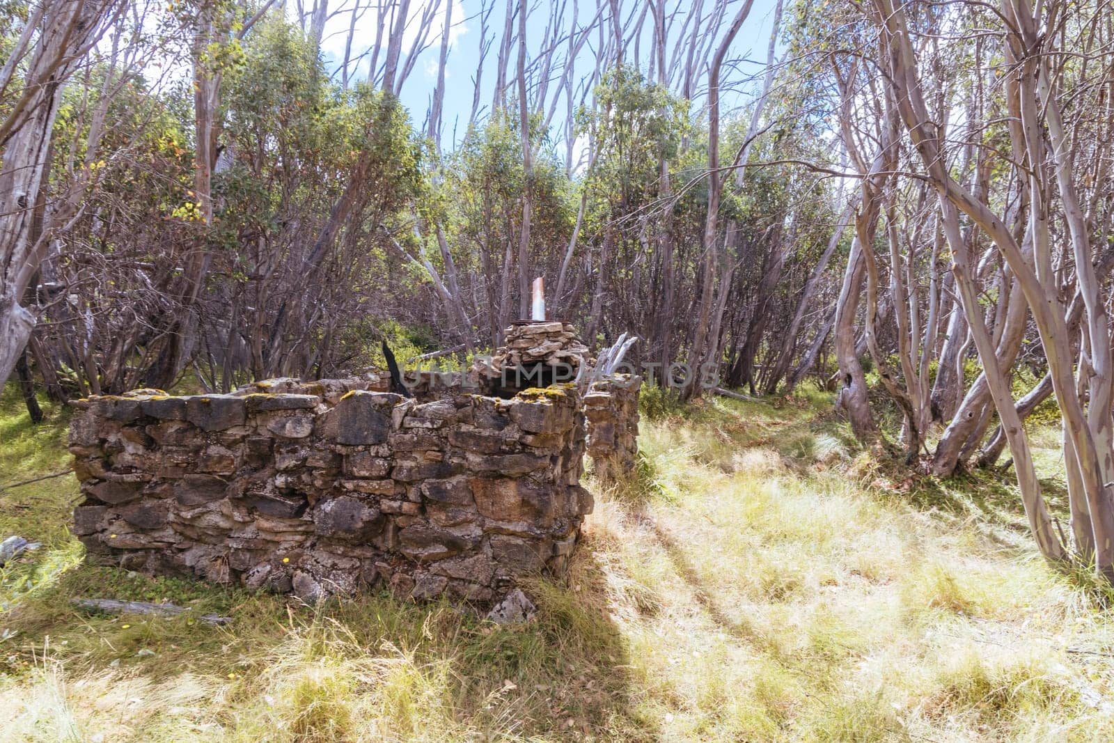 Hut remains on Boundary Hut Trail near Lake Mountain on a clear summer's day, near Marysville, Victoria, Australia