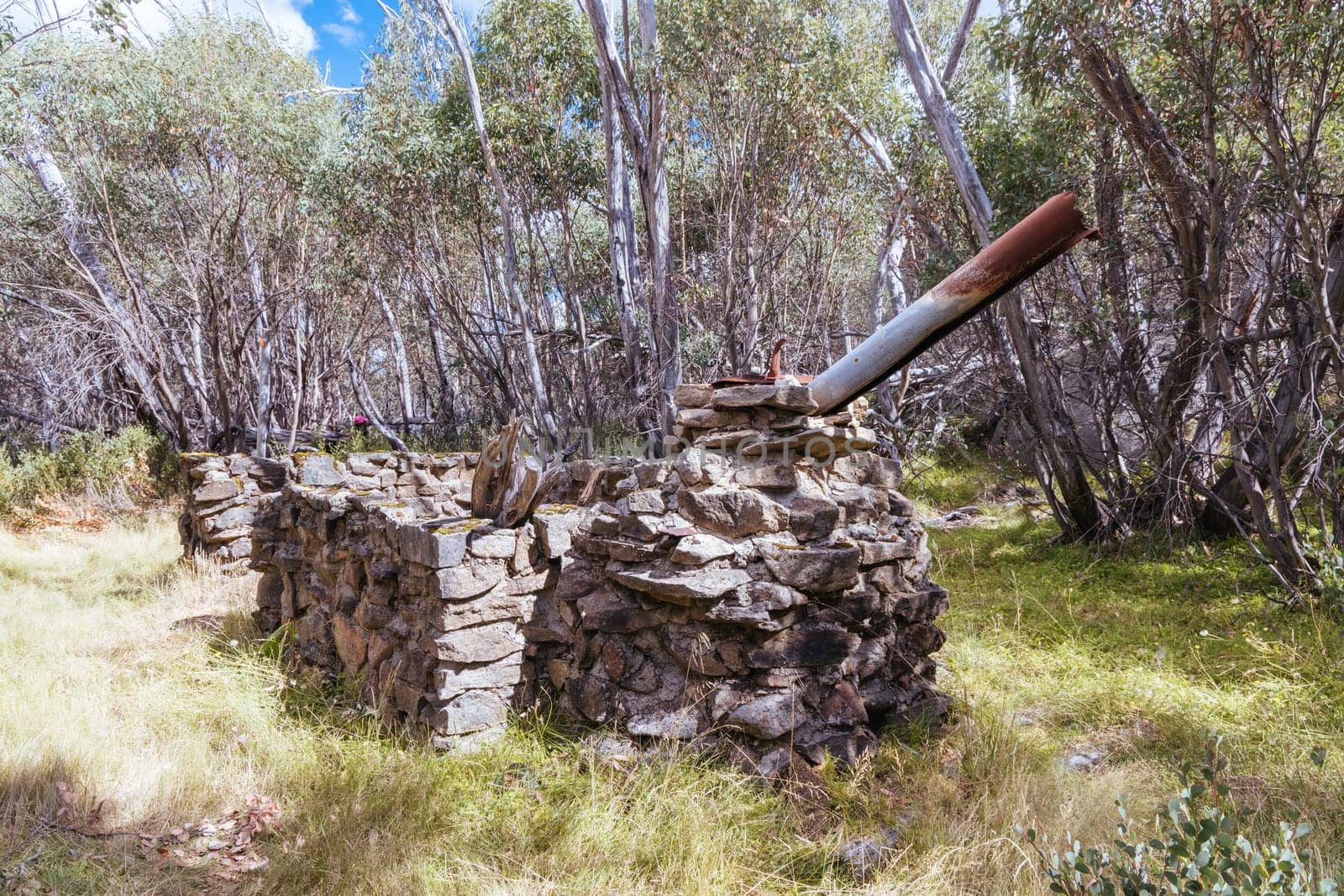 Hut remains on Boundary Hut Trail near Lake Mountain on a clear summer's day, near Marysville, Victoria, Australia