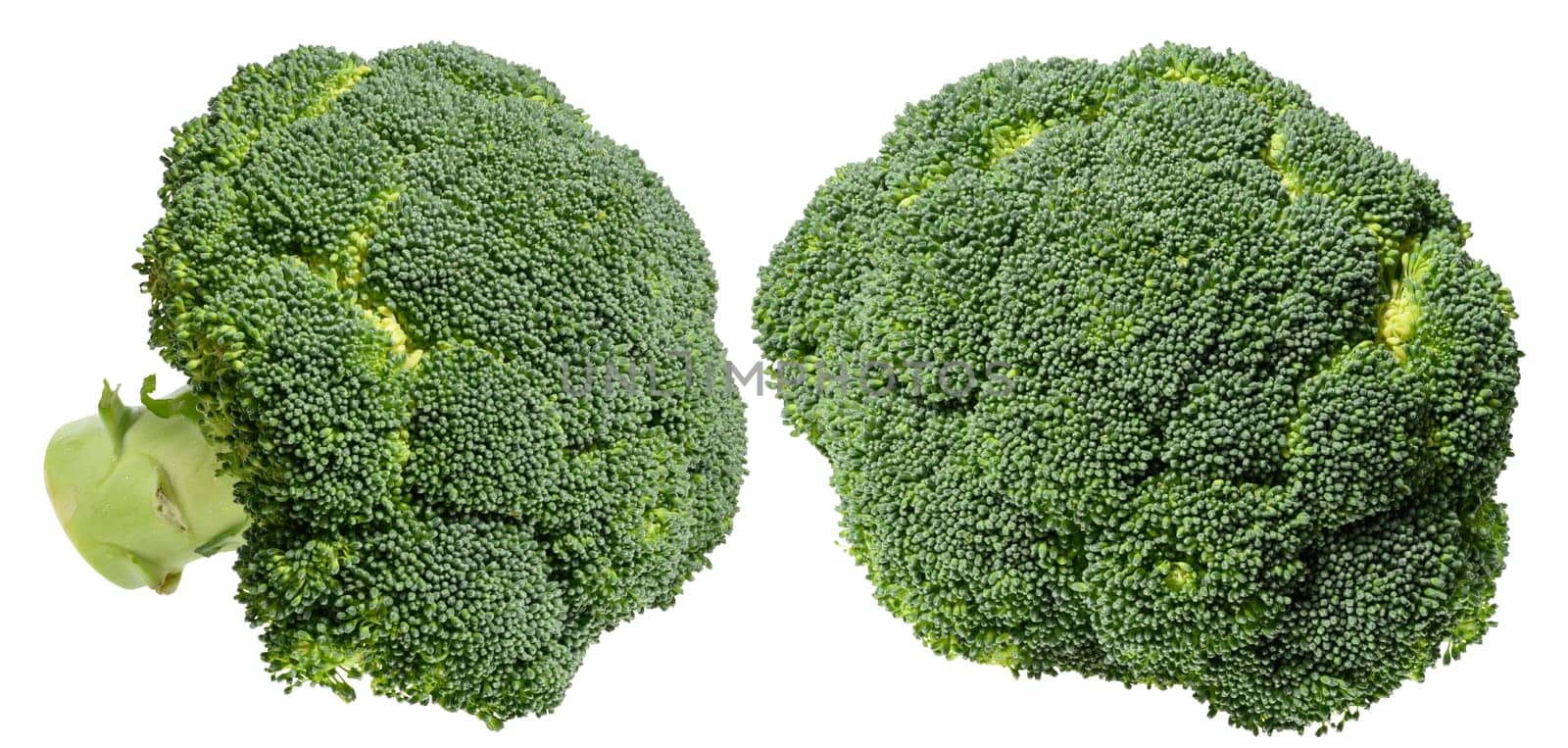 Fresh green broccoli floret with stalk, isolated background. Healthy and nutritious vegetable for salads and cooking recipes, set