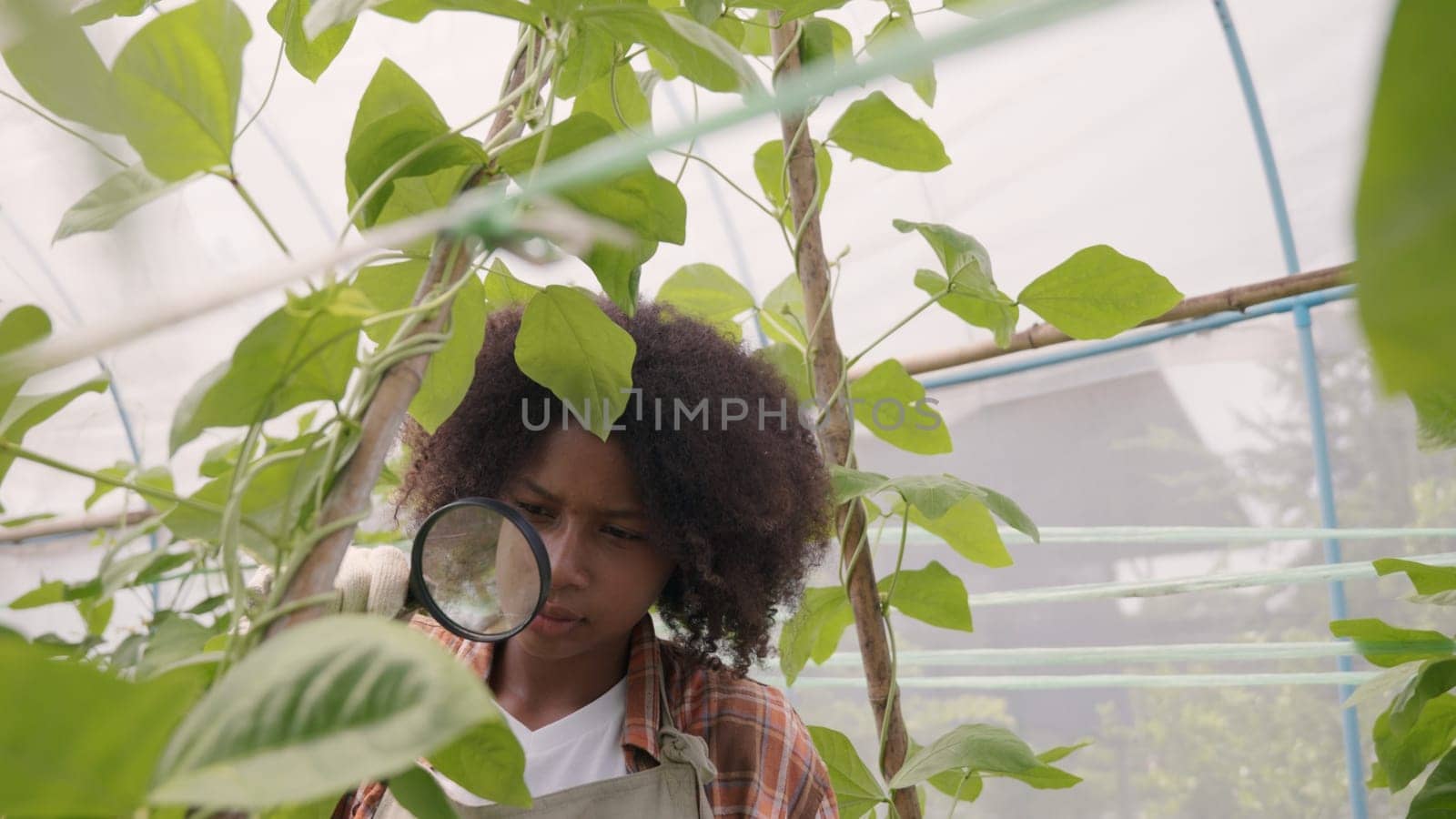 Happy children farmer hands holding magnifying glass and looking at vegetables in hydroponics farm, Biotechnology kid examining plant leaf, agriculture school learning research for science concept
