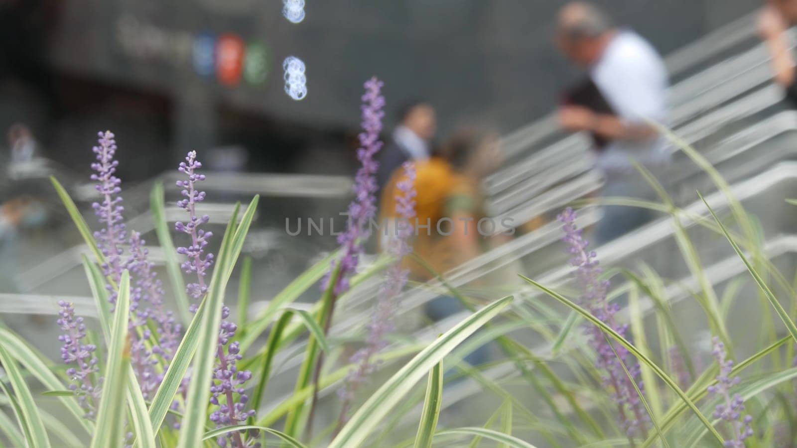 New York City, United States - 11 Sept 2023: Manhattan Midtown Lexington avenue, United States. Defocused people pedestrian, underground metro subway station, stairs on 53 street, urban USA. Greenery.