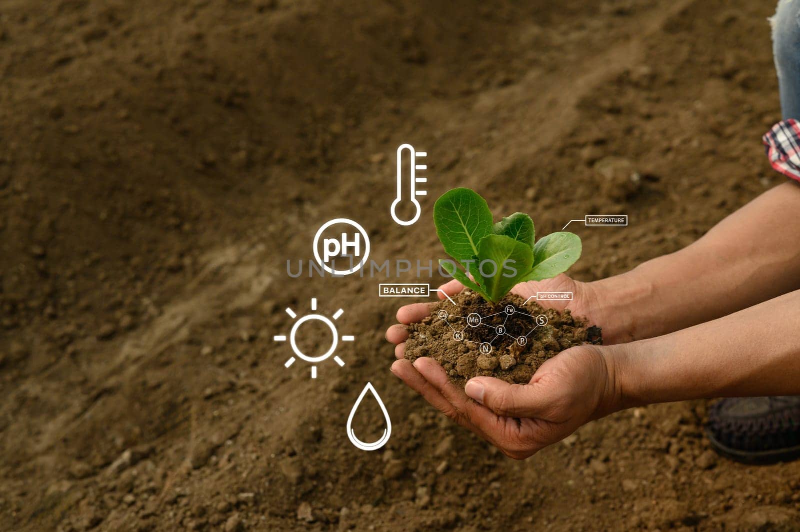 Smart farming technology used for precision agriculture and soil health analysis.