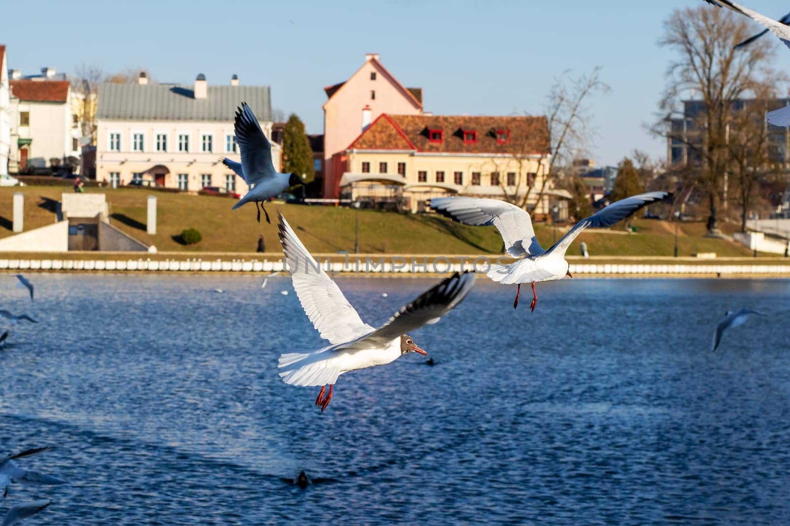 A group of various birds can be seen gracefully flying over a serene body of water, creating a beautiful scene of nature