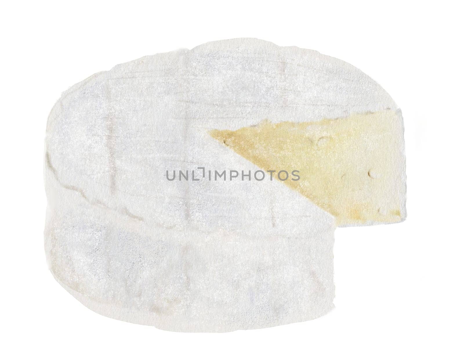 Camembert or brie cheese watercolor drawing. Hand drawn illustration of dairy cream product of French cuisine. Clip art of food on white background. Ideal for packaging of farm organic product or restaurant menu design. High quality illustration