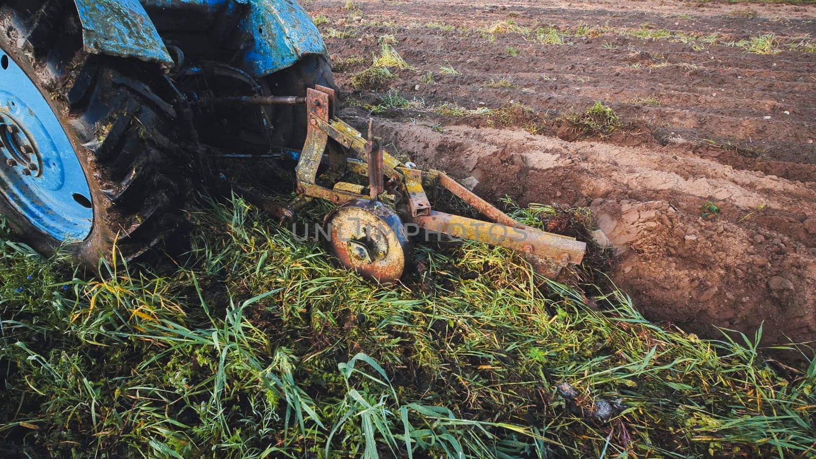 Vintage blue tractor breaking ground, tilling agricultural field, carving deep furrows in rich soil before planting season