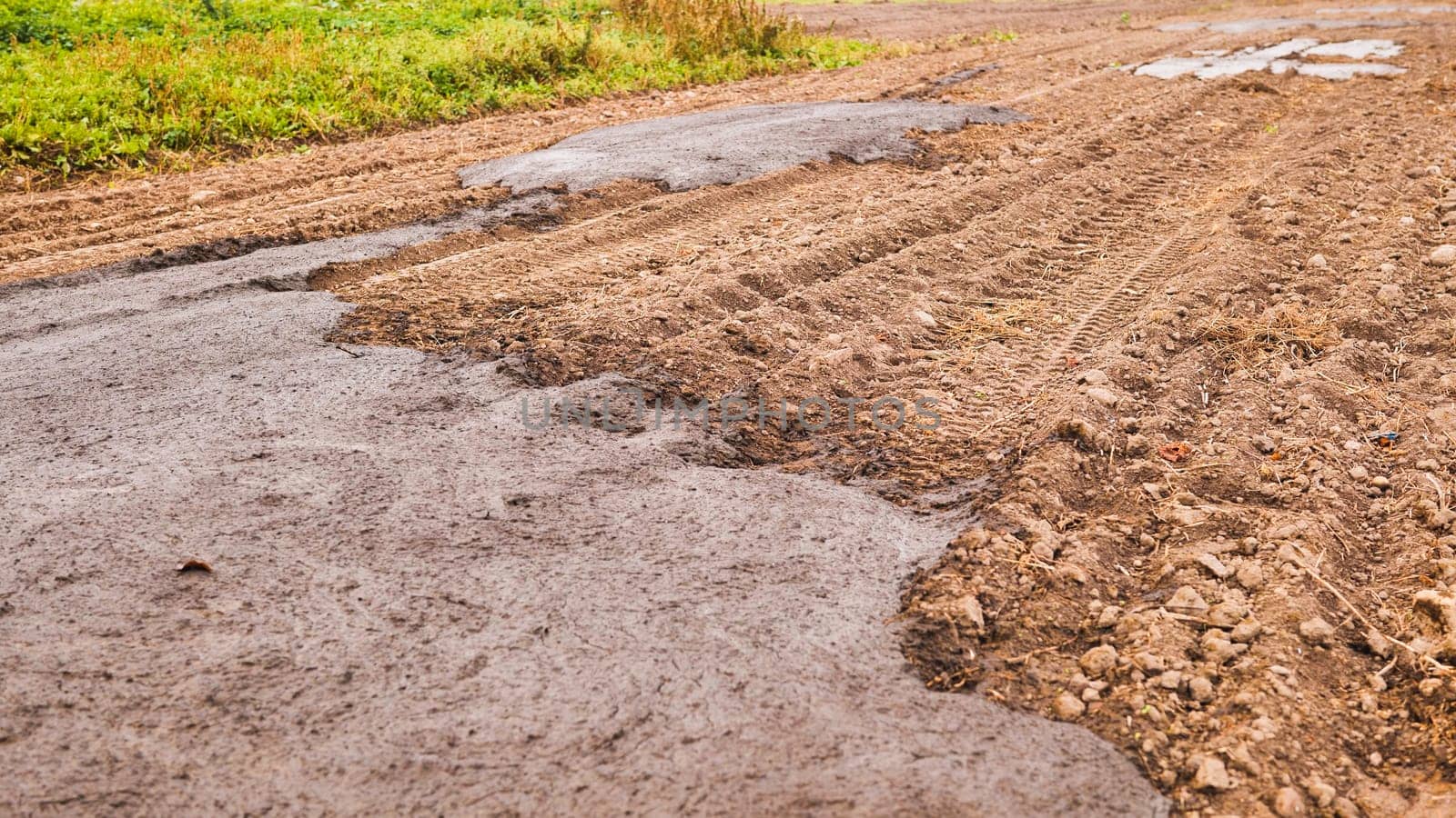 Cow manure on the field in early fall. Organic fertilizers