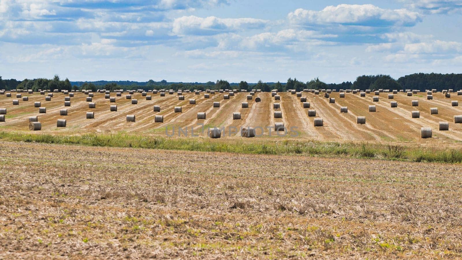 Straw bales lying on a mown field after harvesting grain crops creating a beautiful rural landscape