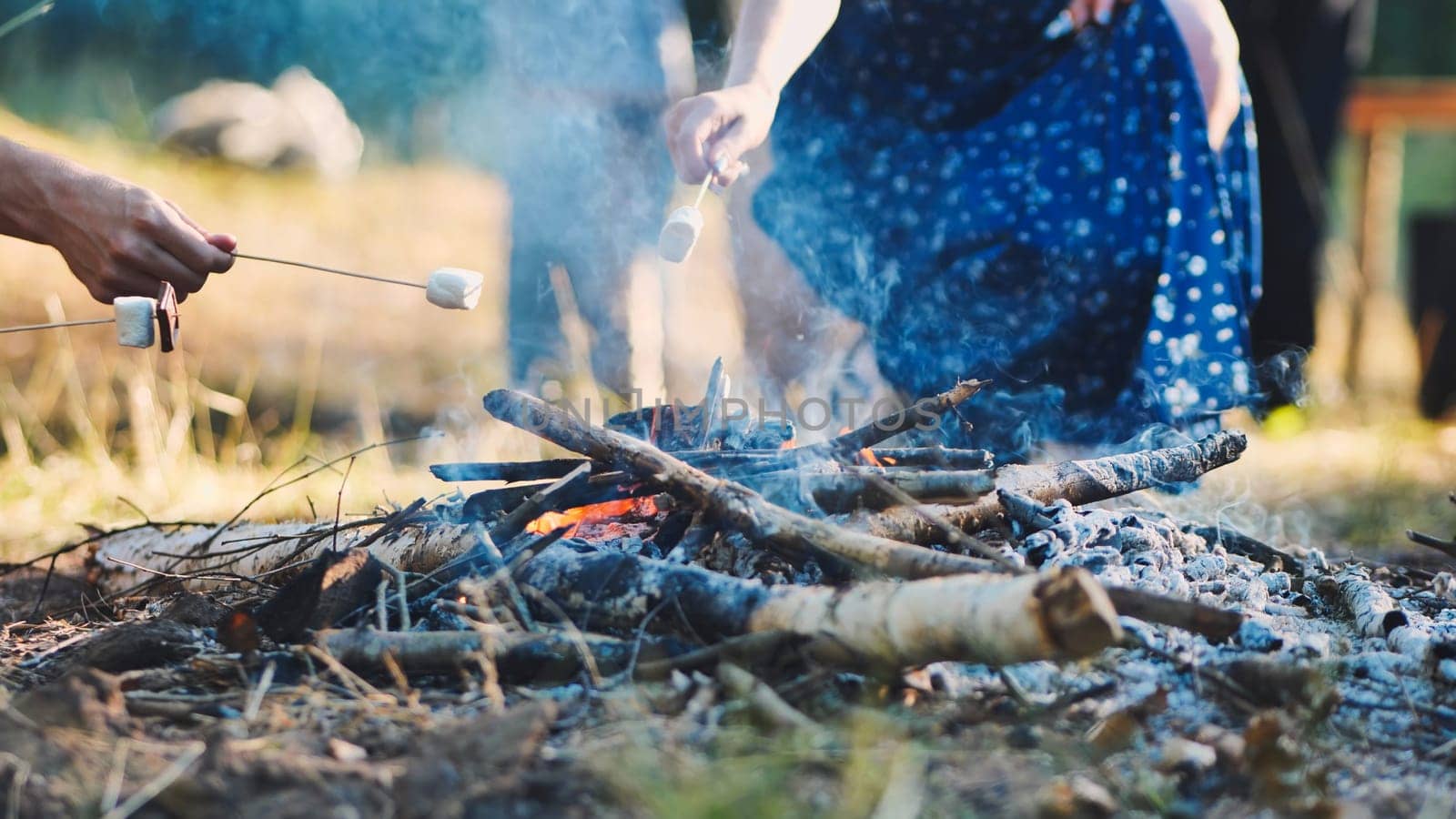 Graduating students roasting marshmallows around crackling campfire, sharing celebratory moment of academic success