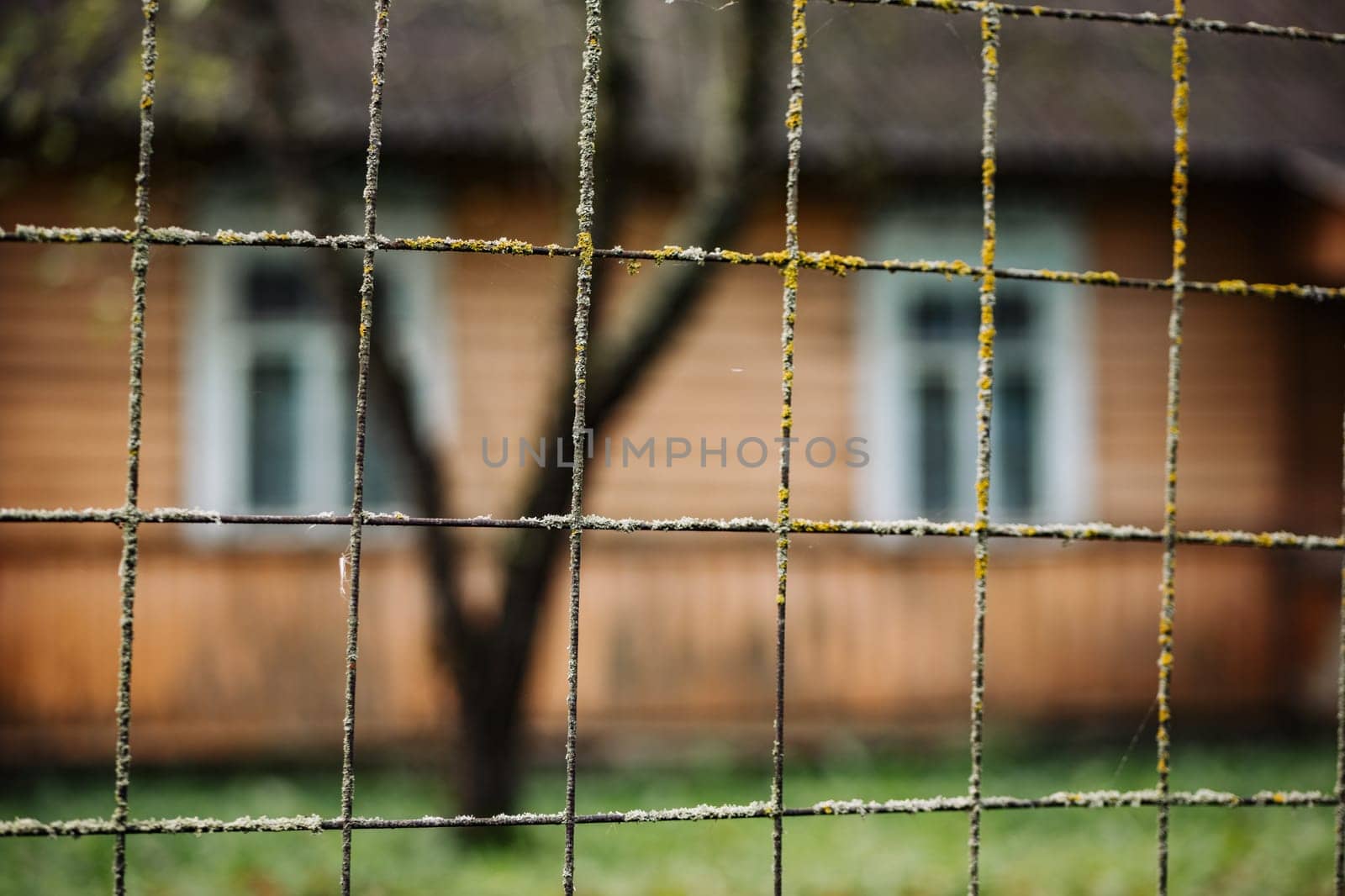 Rusty wire mesh fence with lichen growing on it is covering old wooden house