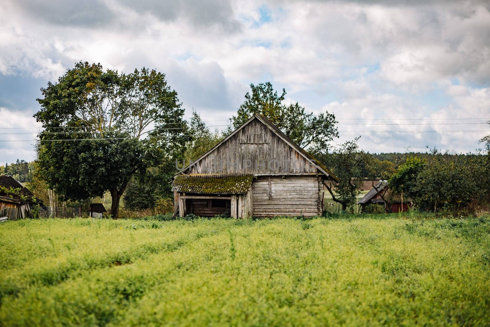 Old abandoned wooden barn with moss-covered roof standing in a green field under a cloudy sky