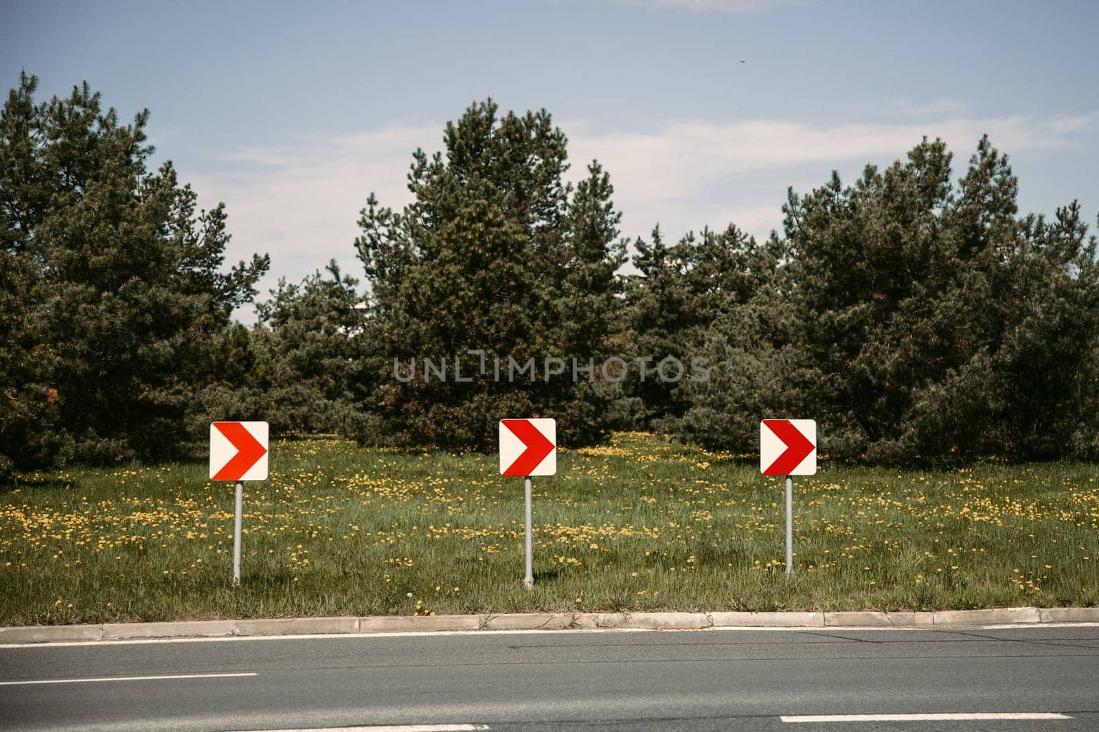 A row of right turn road signs placed along a curved road with a backdrop of green pine trees and wildflowers. Perfect for themes like transportation, traffic safety, and driving directions