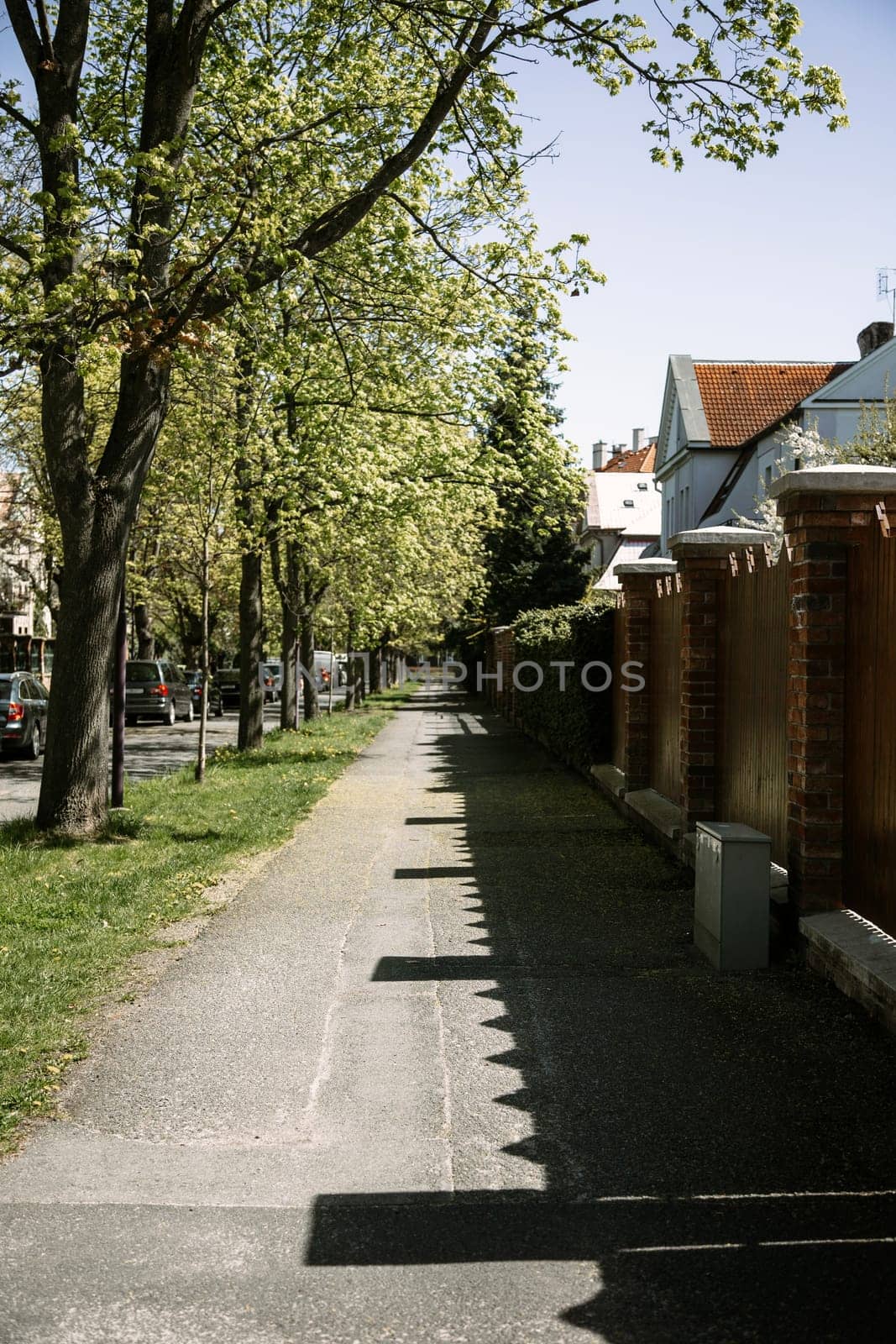 Quiet suburban street with lush green trees and shadows of a red-brick fence on the sidewalk. Great for concepts of spring, calm living, architecture, and peaceful neighborhoods