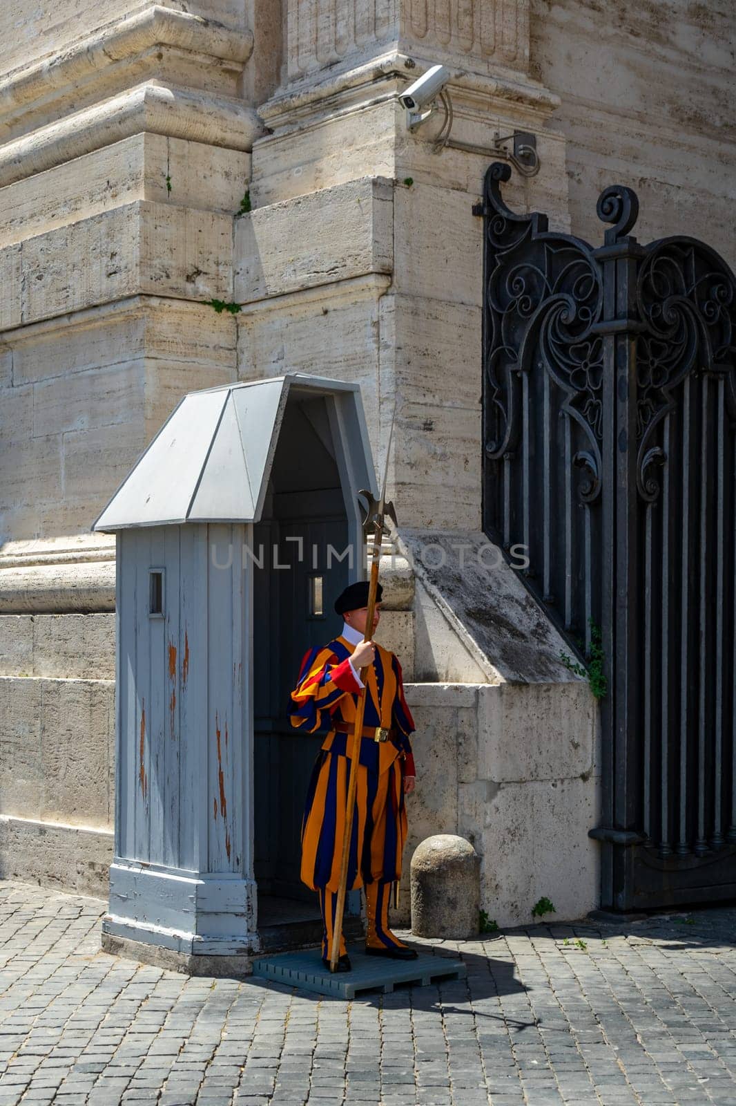 Vatican. Rome. Italy. 07.11.2024: A member of the Pontifical Swiss Guard on premises of St Peter Basilica, Vatican.