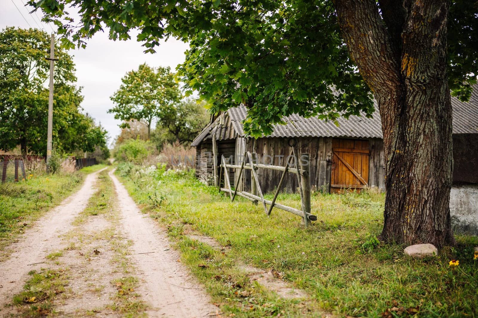 Old wooden barn in the countryside next to a dirt road and a big tree