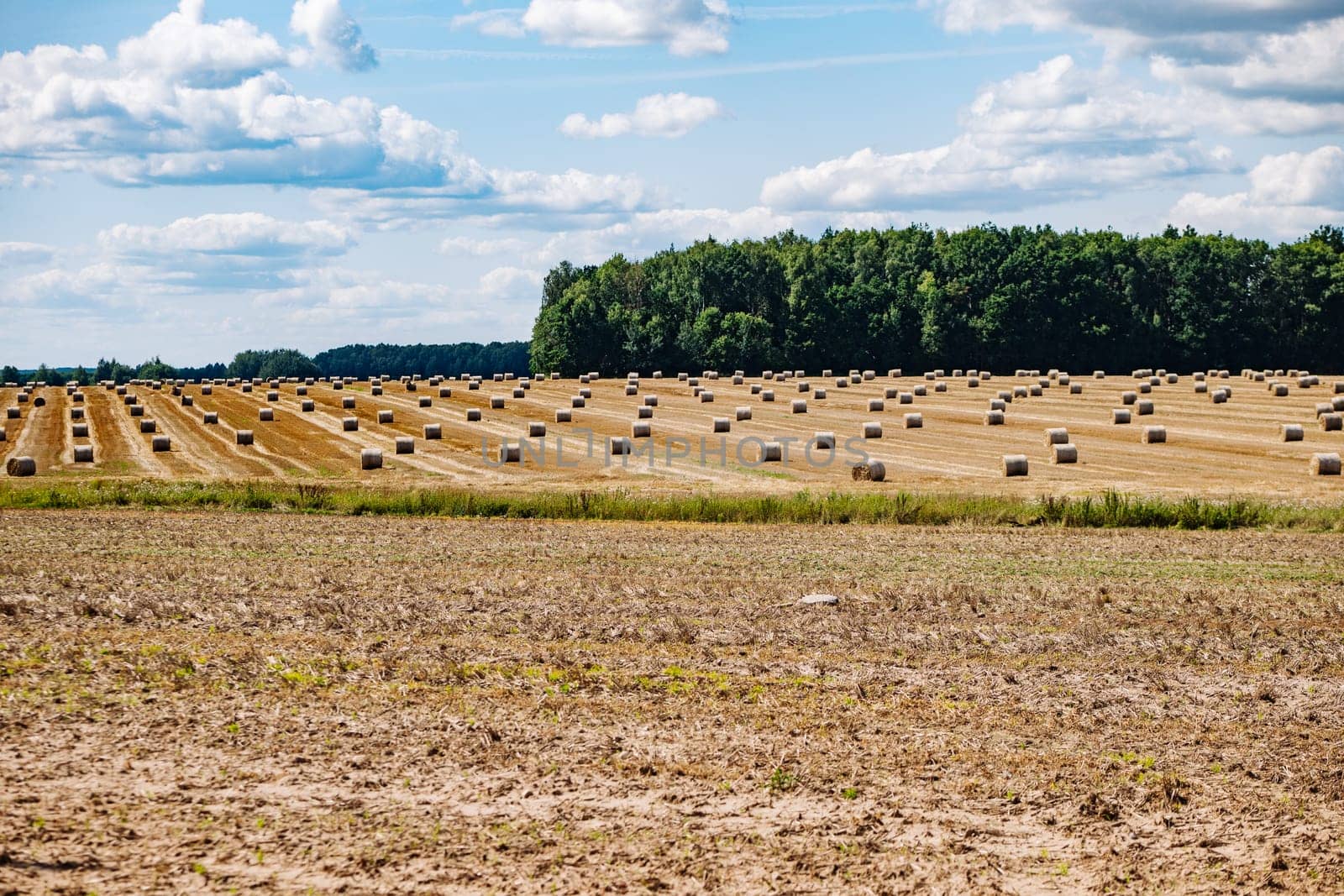Harvested field with round hay bales under blue sky with clouds and forest in background