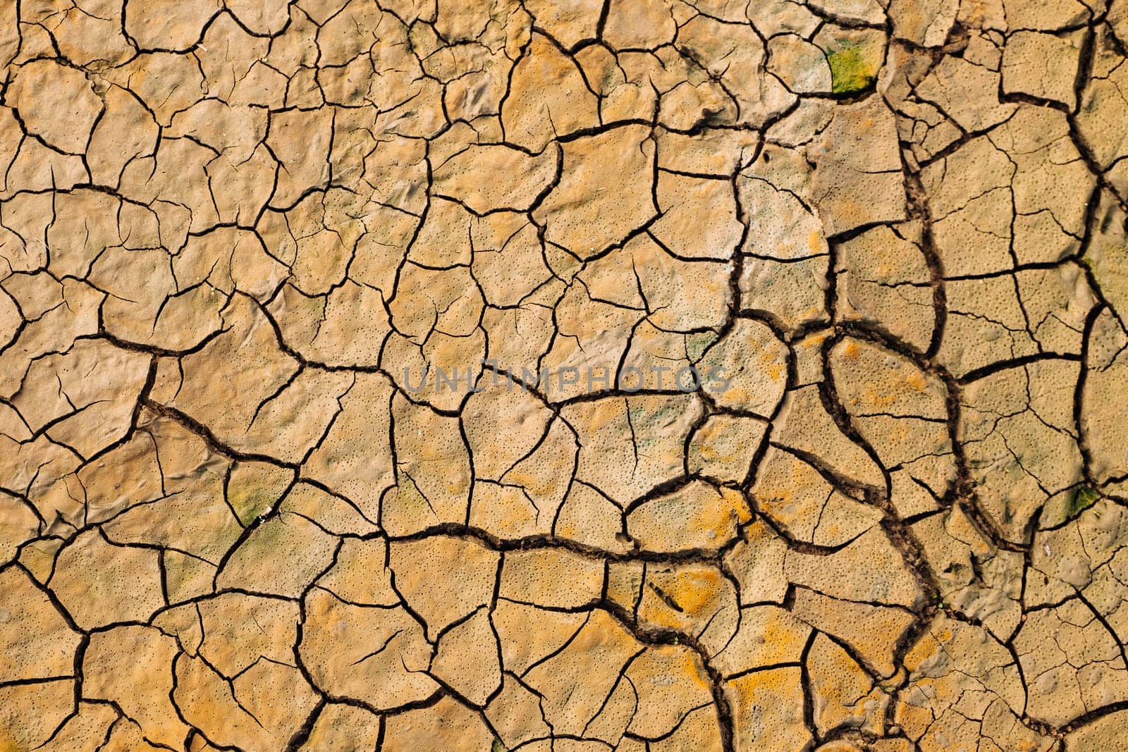 Dry cracked earth texture forming abstract pattern during severe drought