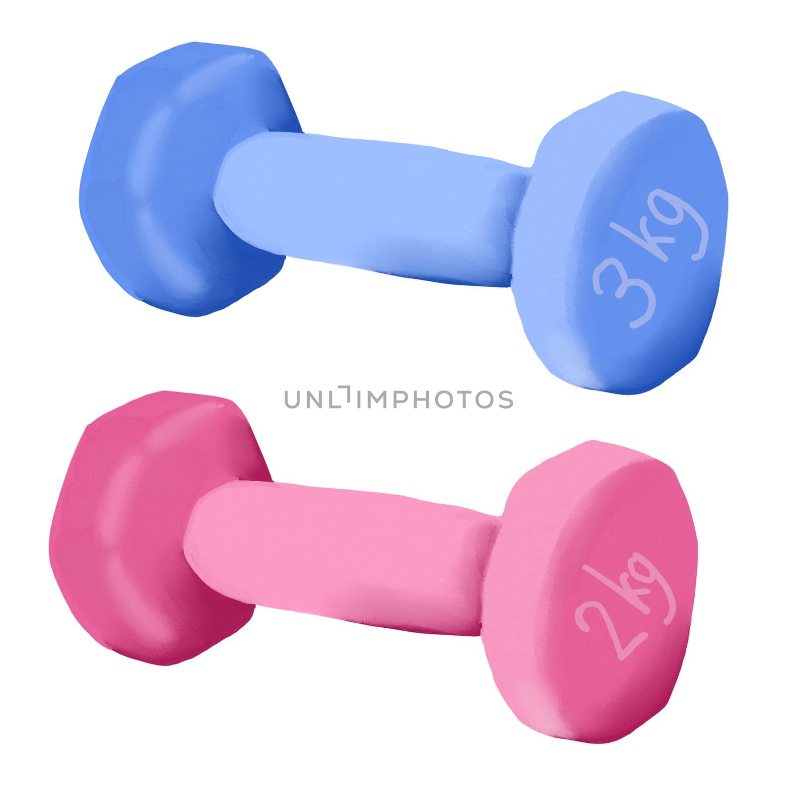 Hand drawn illustration of sports dumbbell weightlifting, gym activity equipment. Bodybuilding fitness training health muscle strength power hobby physical leisure