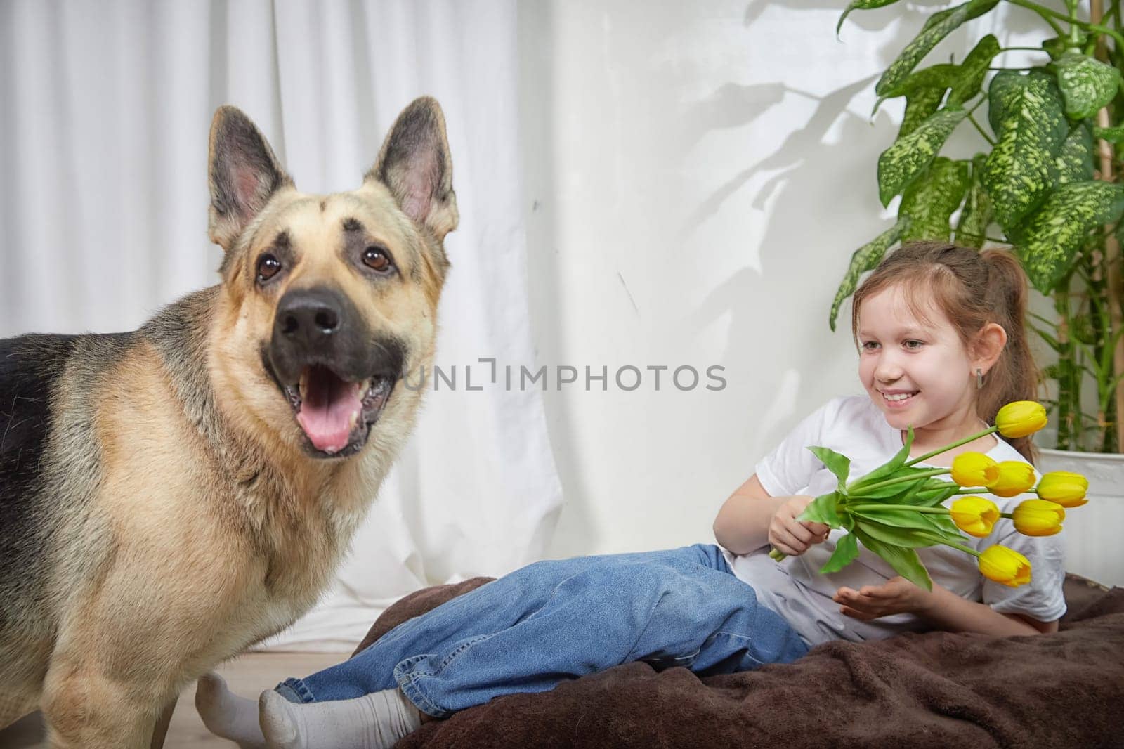A young girl sits on a cozy surface with a bouquet of flowers while a playful German shepherd dog stands nearby, both enjoying a joyful moment.