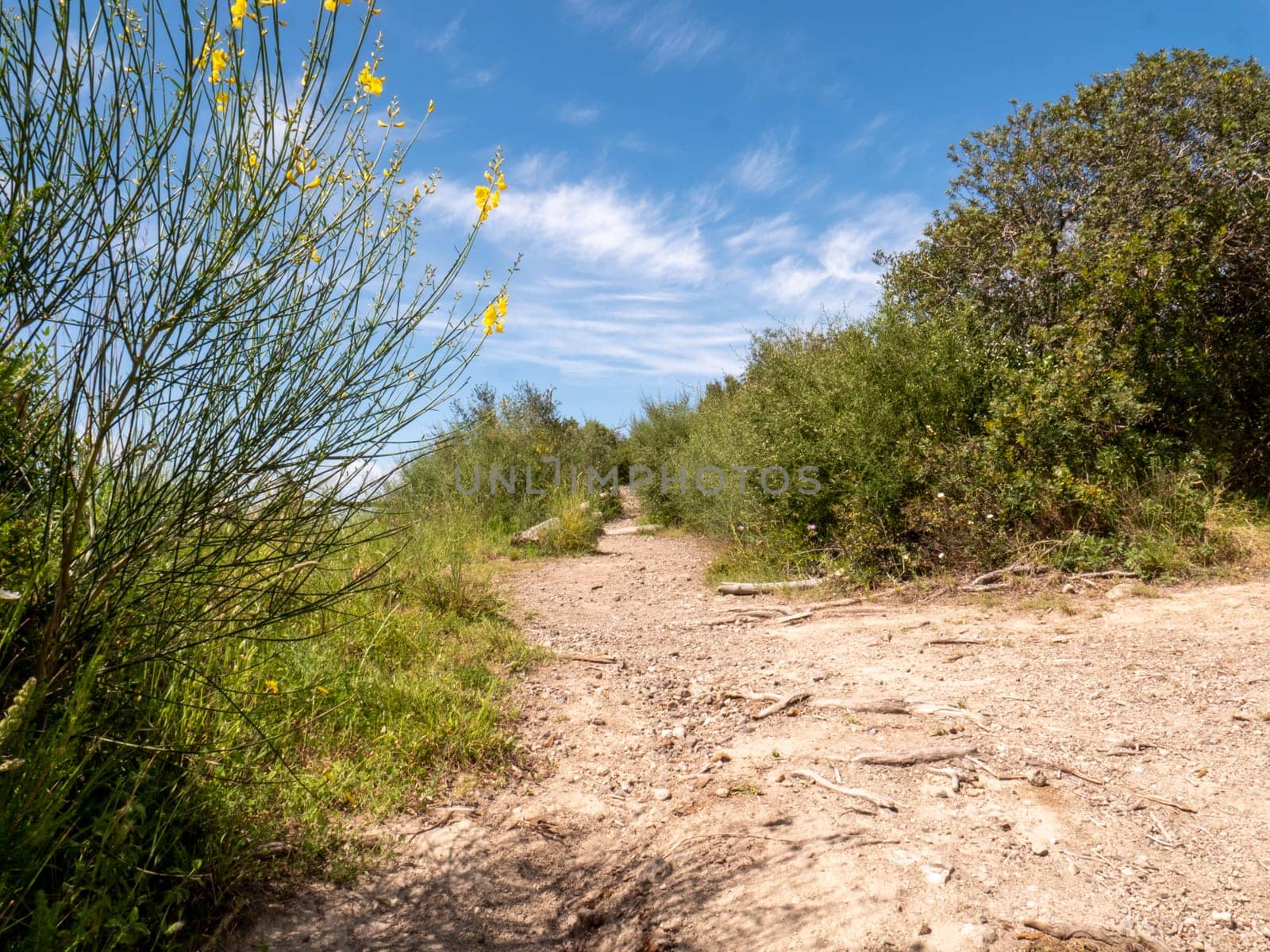 Path in a mediterrean environement in Italy. High quality photo