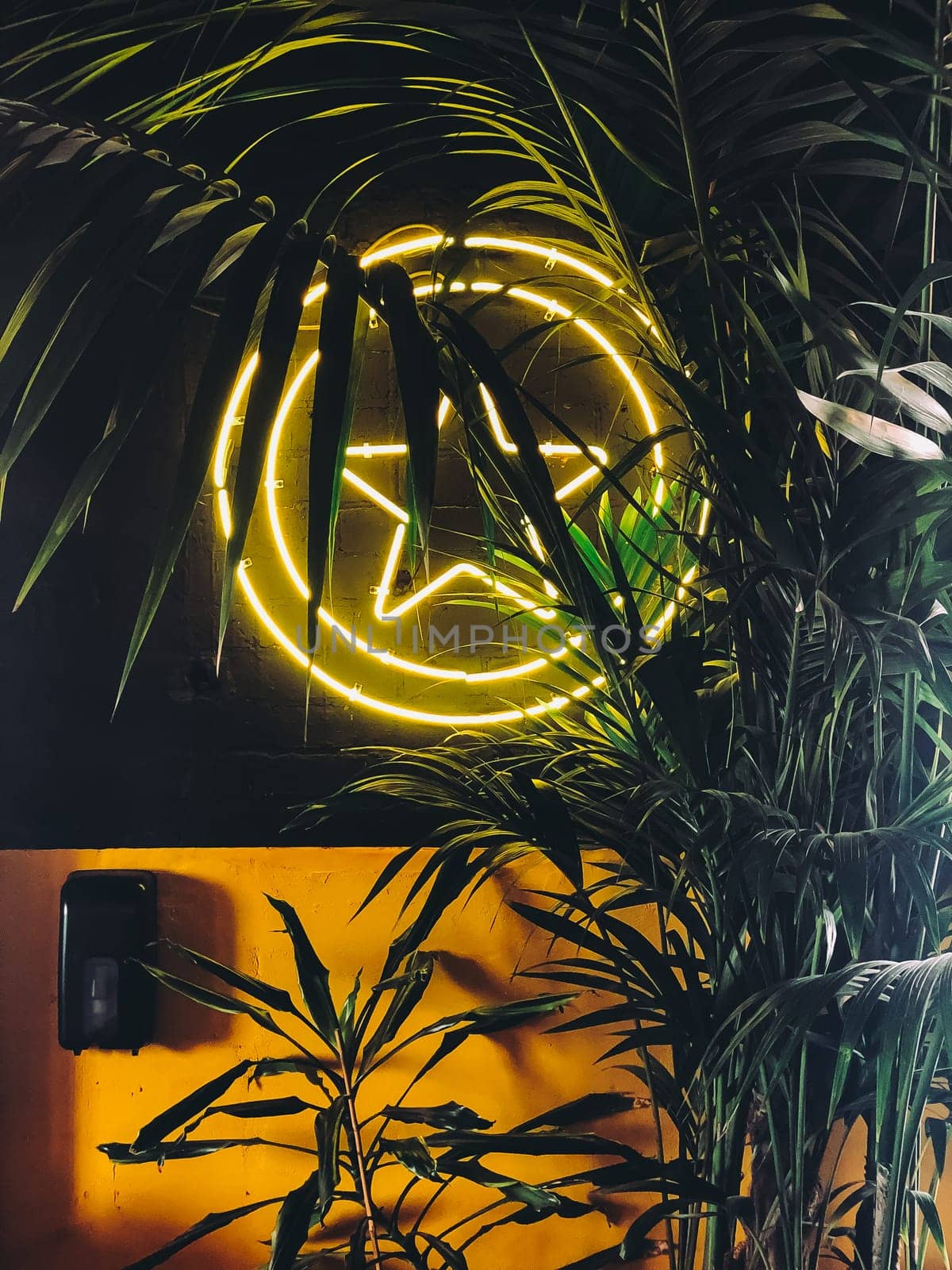 Neon peace sign shining through lush green palm leaves, dark background