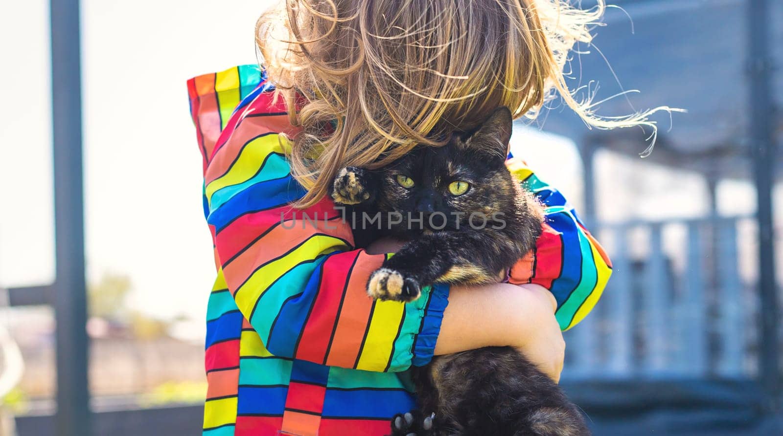Child hugging a cat on the street. Selective focus. kid.