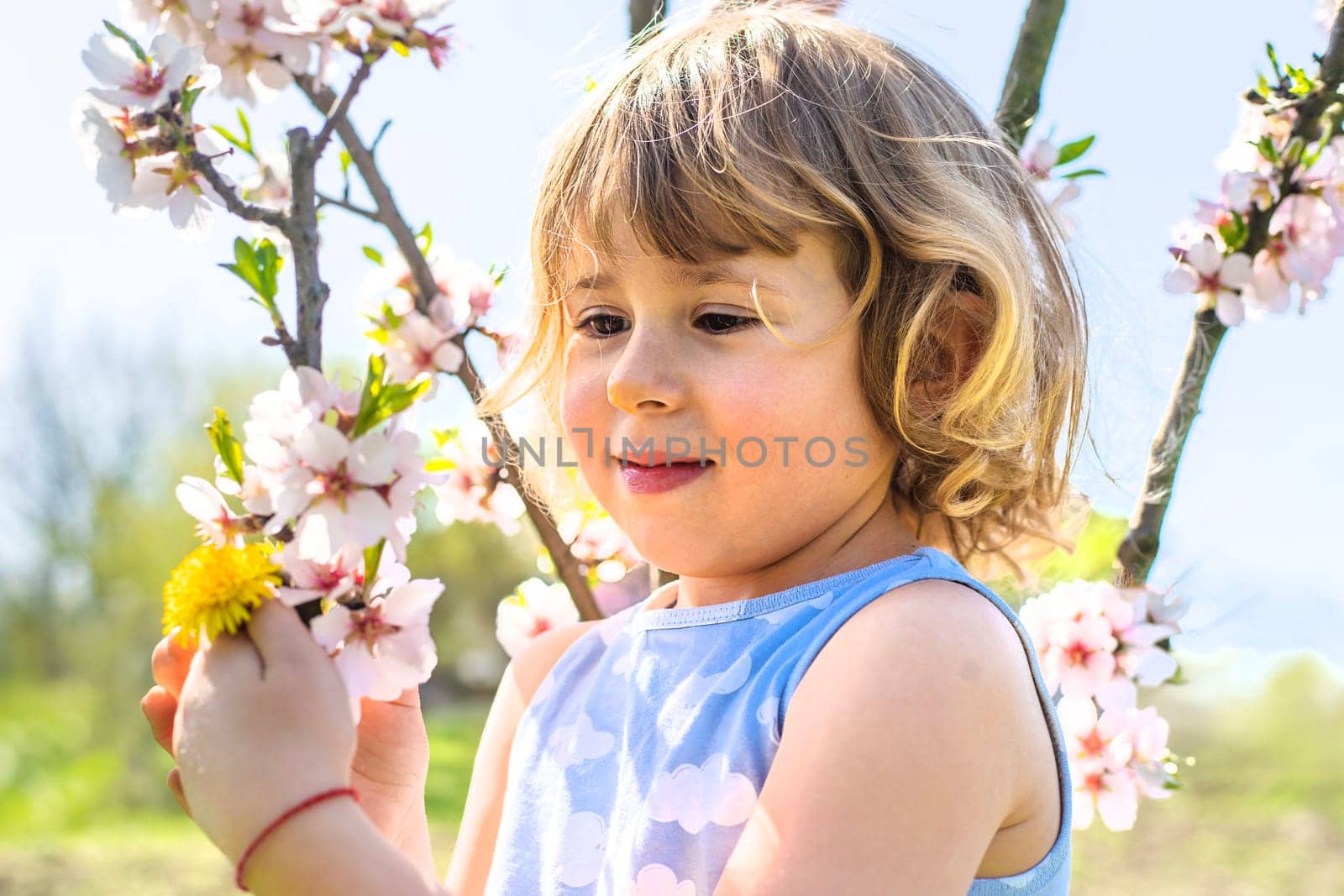 Child in a garden of flowering trees. Selective focus. kid.