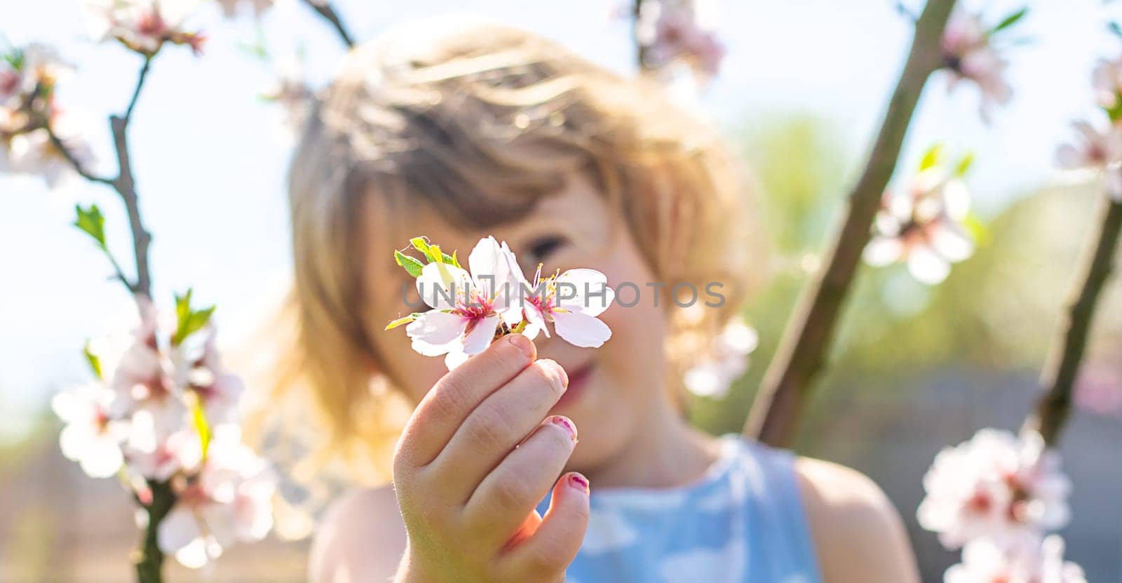 Child in a garden of flowering trees. Selective focus. kid.