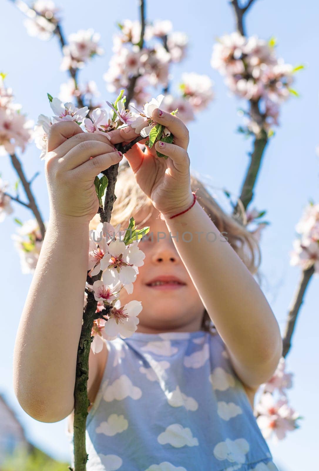 Child in a garden of flowering trees. Selective focus. kid.
